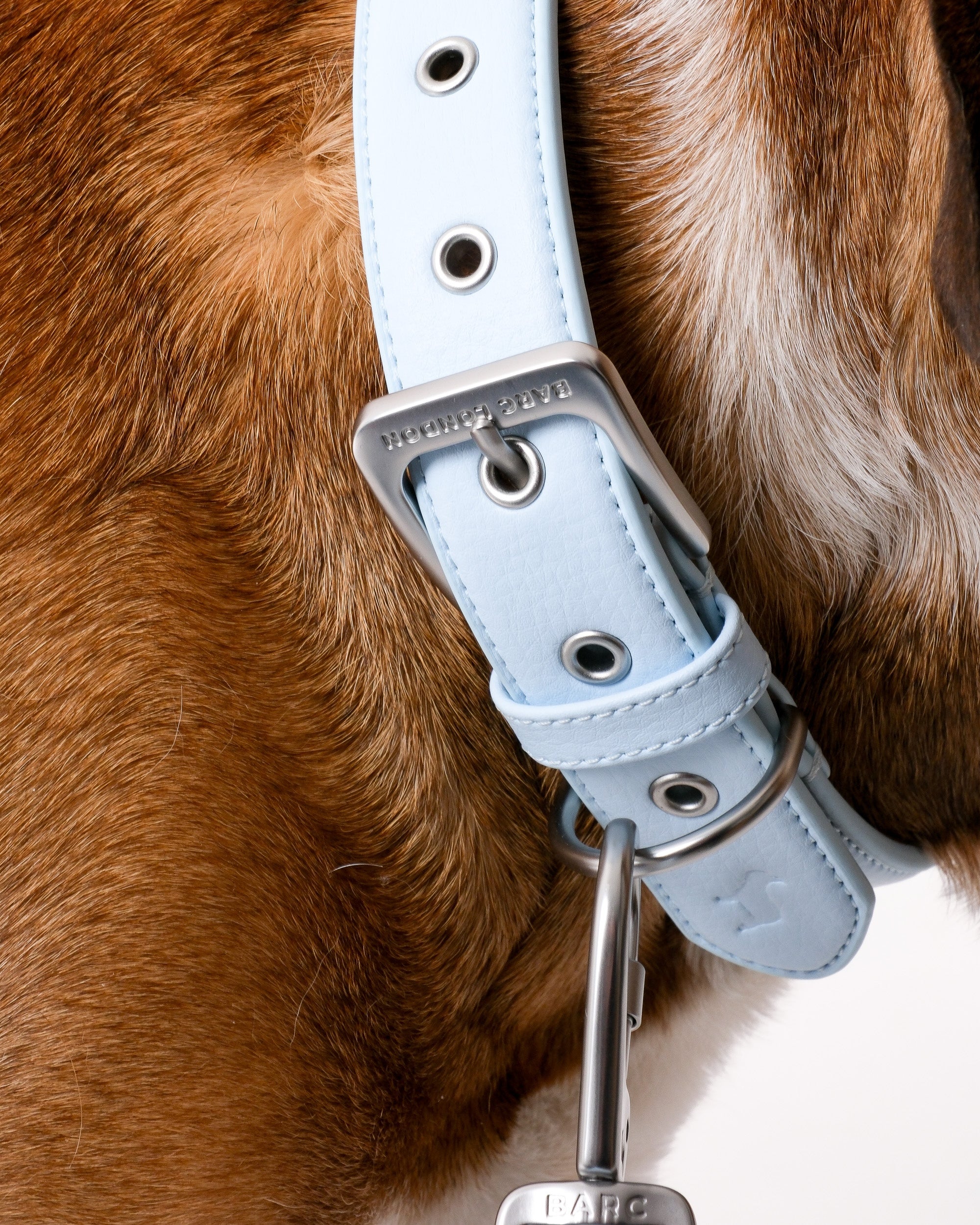 Dusk Blue City Collar