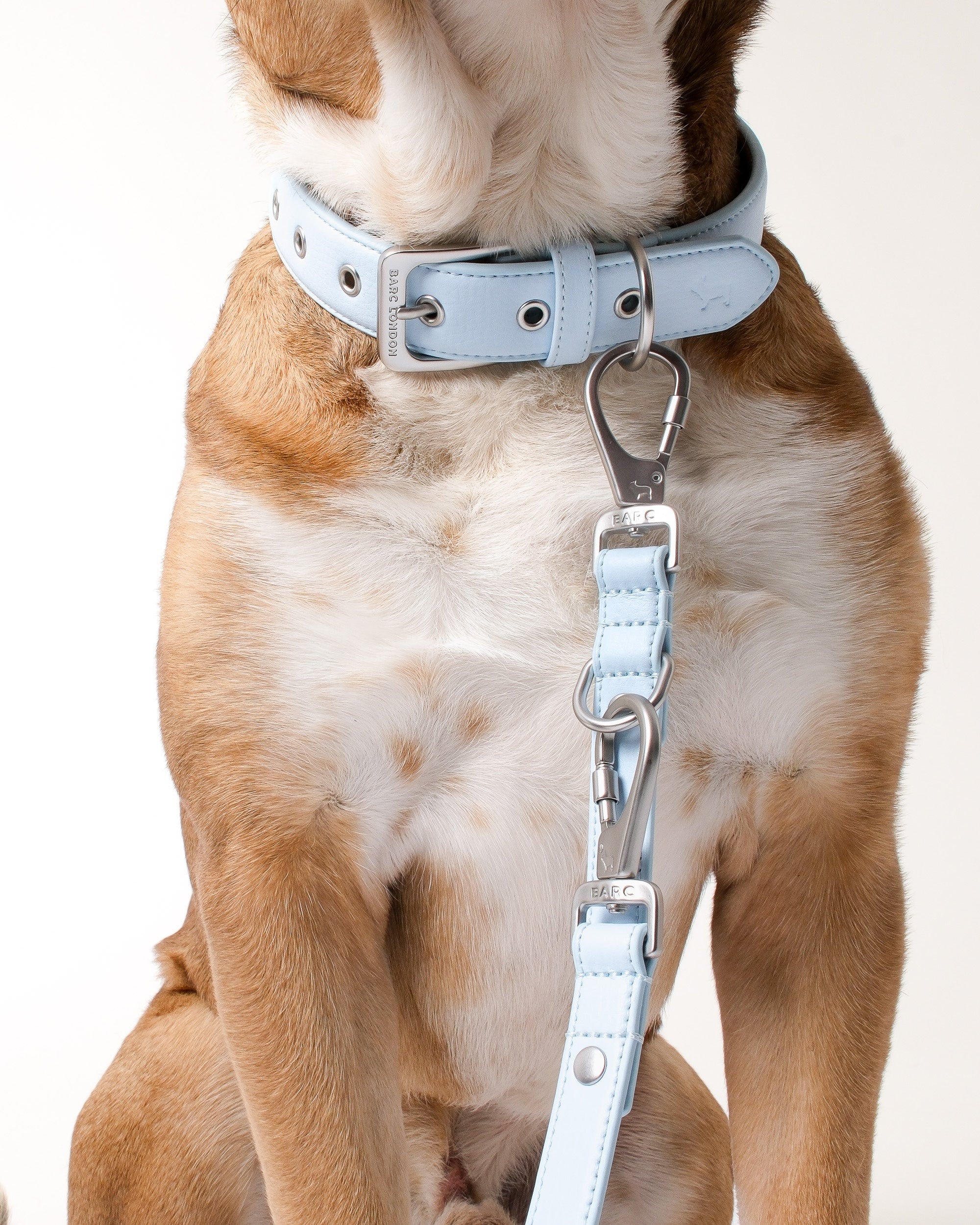 Blue Dog Lead - Adjustable Lead Lengths | Barc London