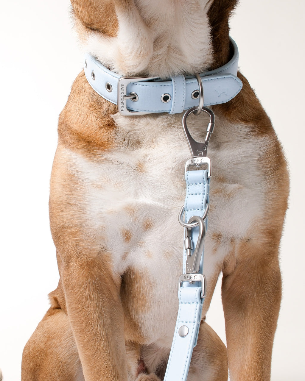 Dusk Blue Double Ended Lead