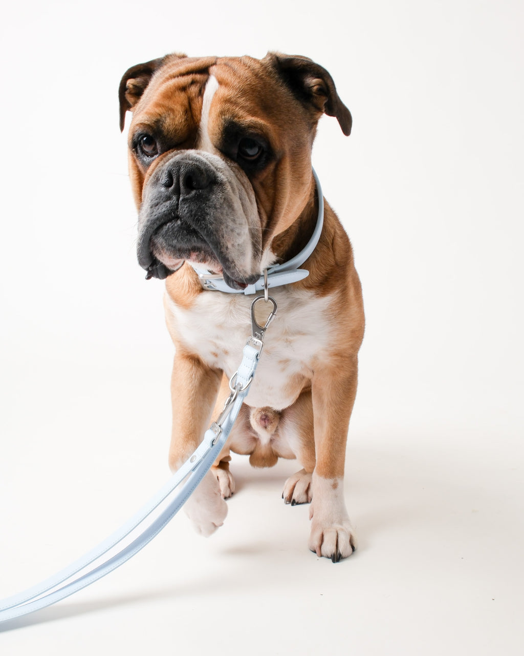Dusk Blue Double Ended Lead