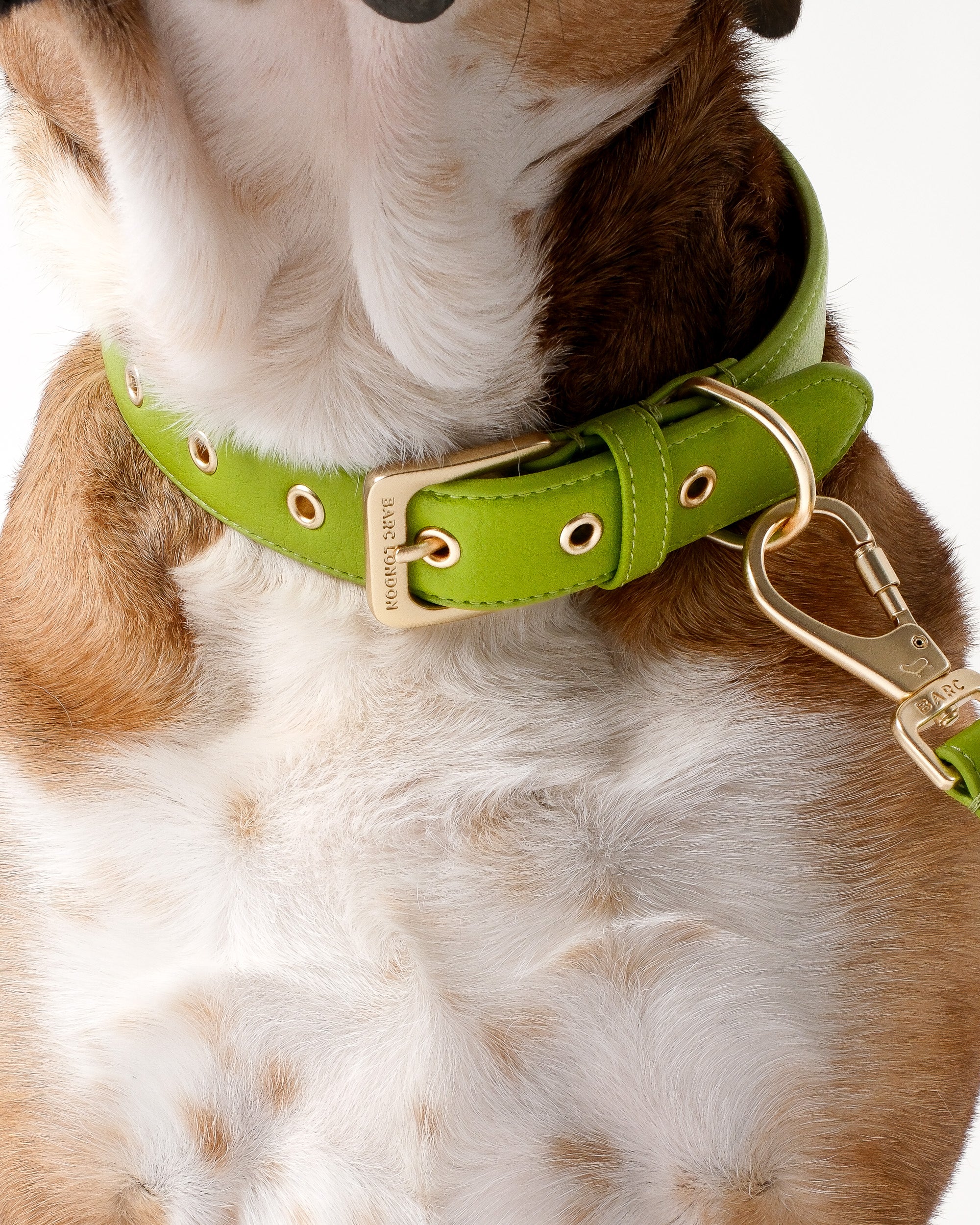 Wasabi Green Dog Collar & Lead Set