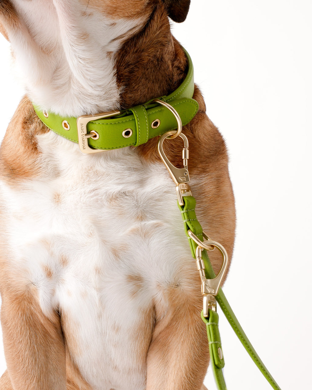 Wasabi Green Double Ended Lead
