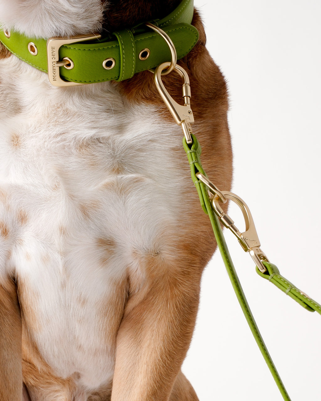 Wasabi Green Double Ended Lead