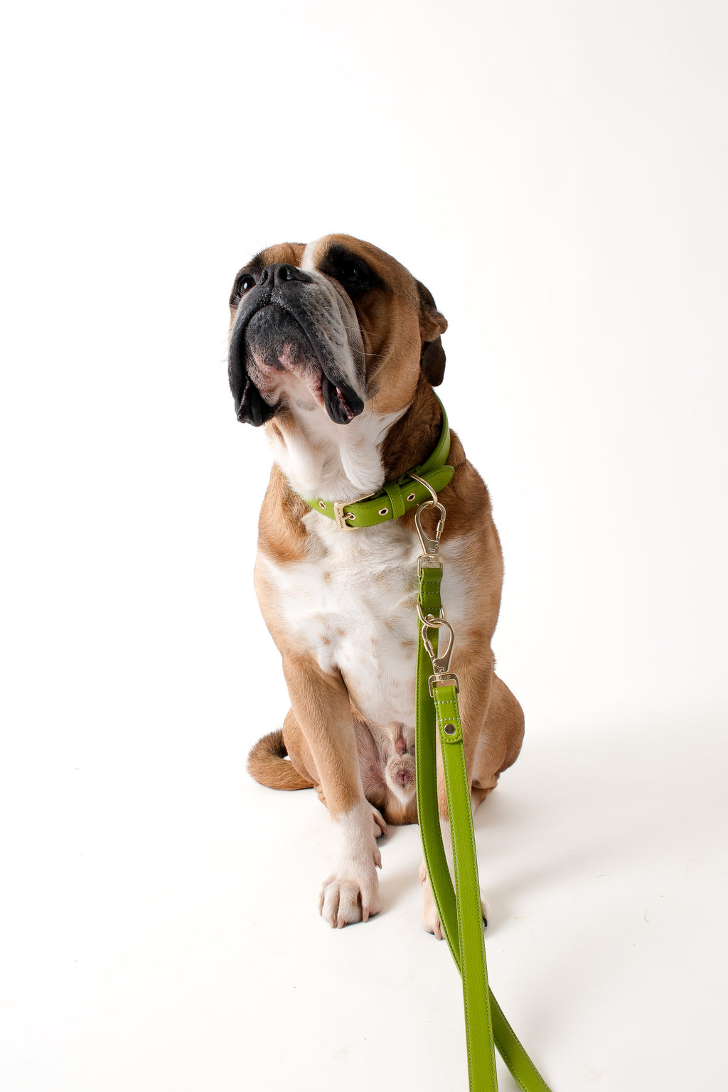 Wasabi Green Double Ended Lead