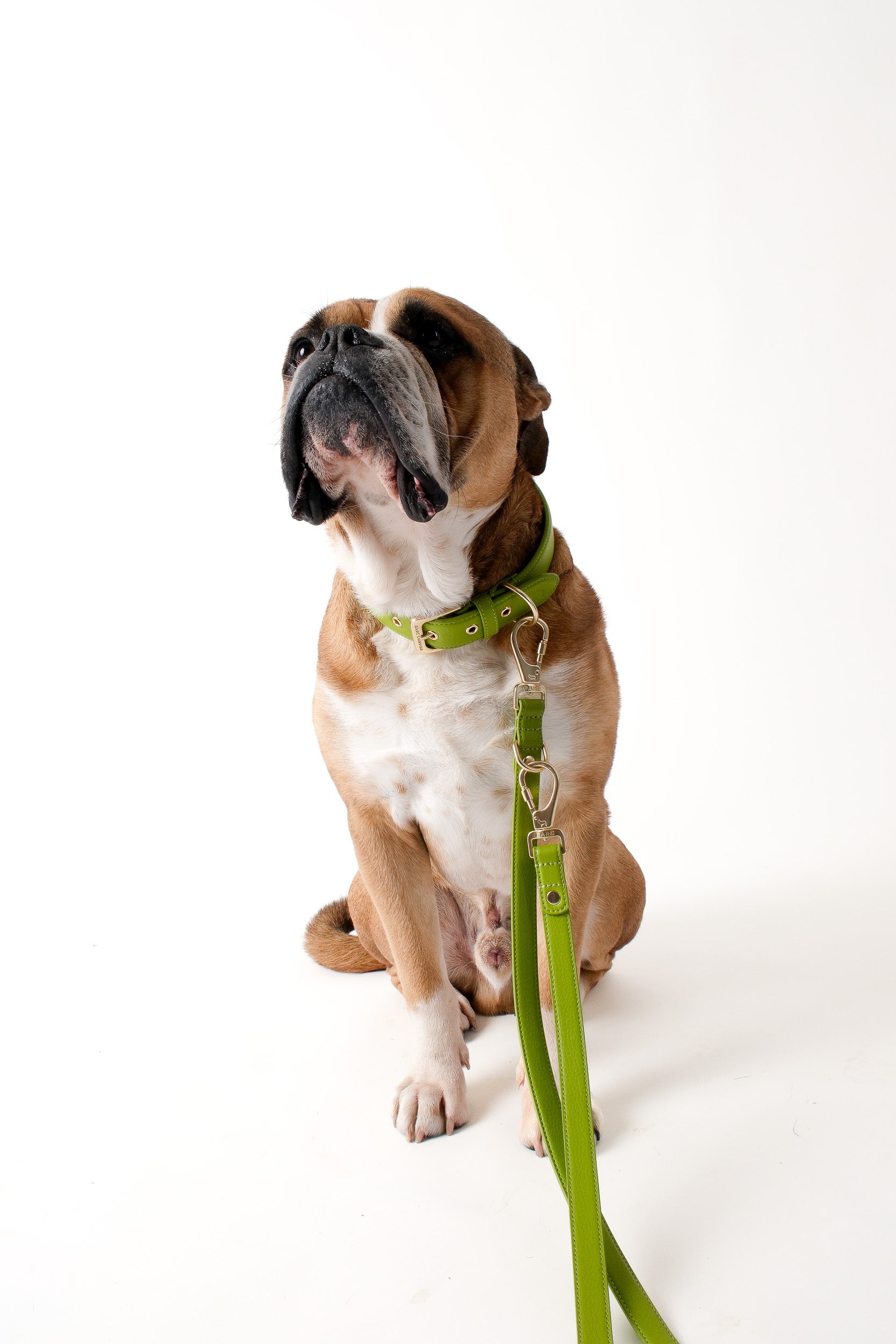 Wasabi Green Double Ended Lead
