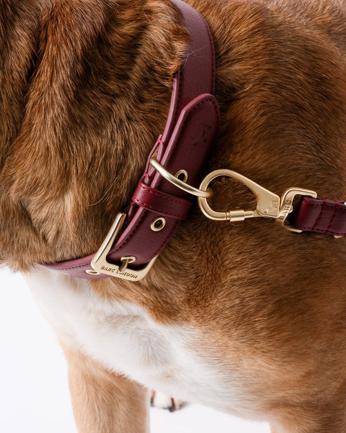 Merlot Red Dog Collar
