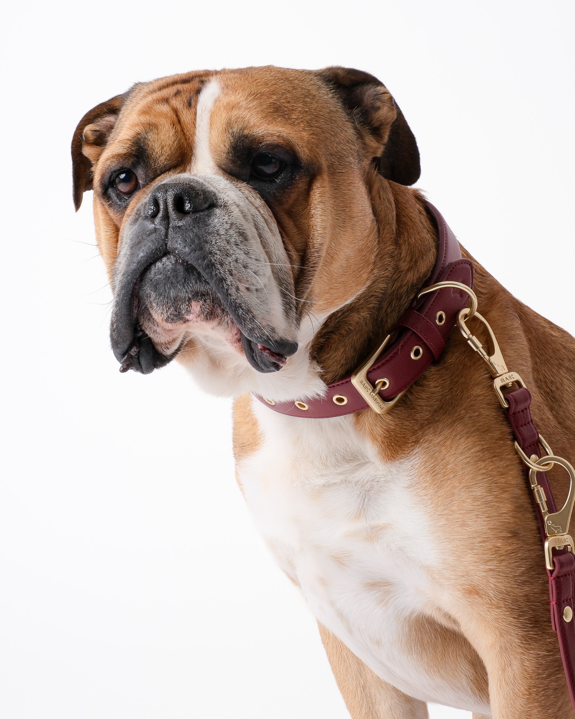 Merlot Red Dog Collar & Lead Set