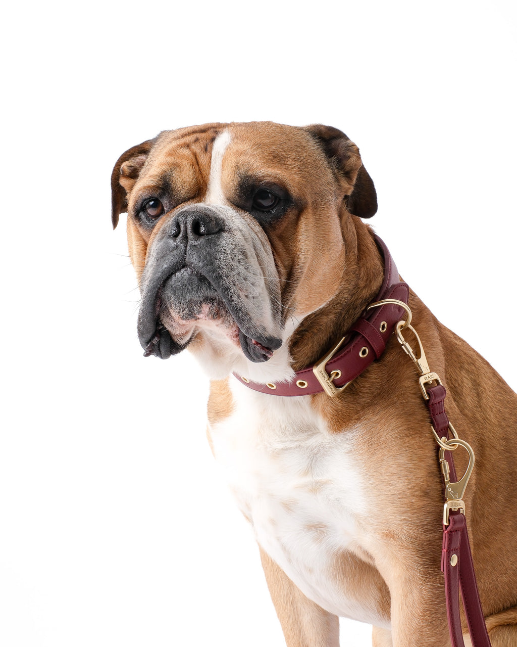 Merlot Red Double Ended Lead