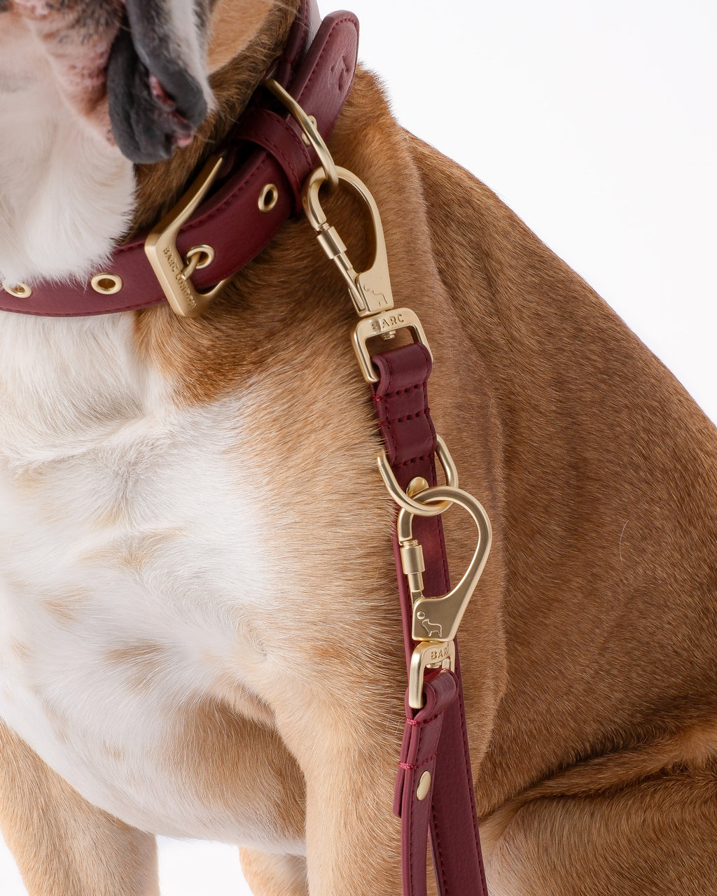 Merlot Red Double Ended Lead