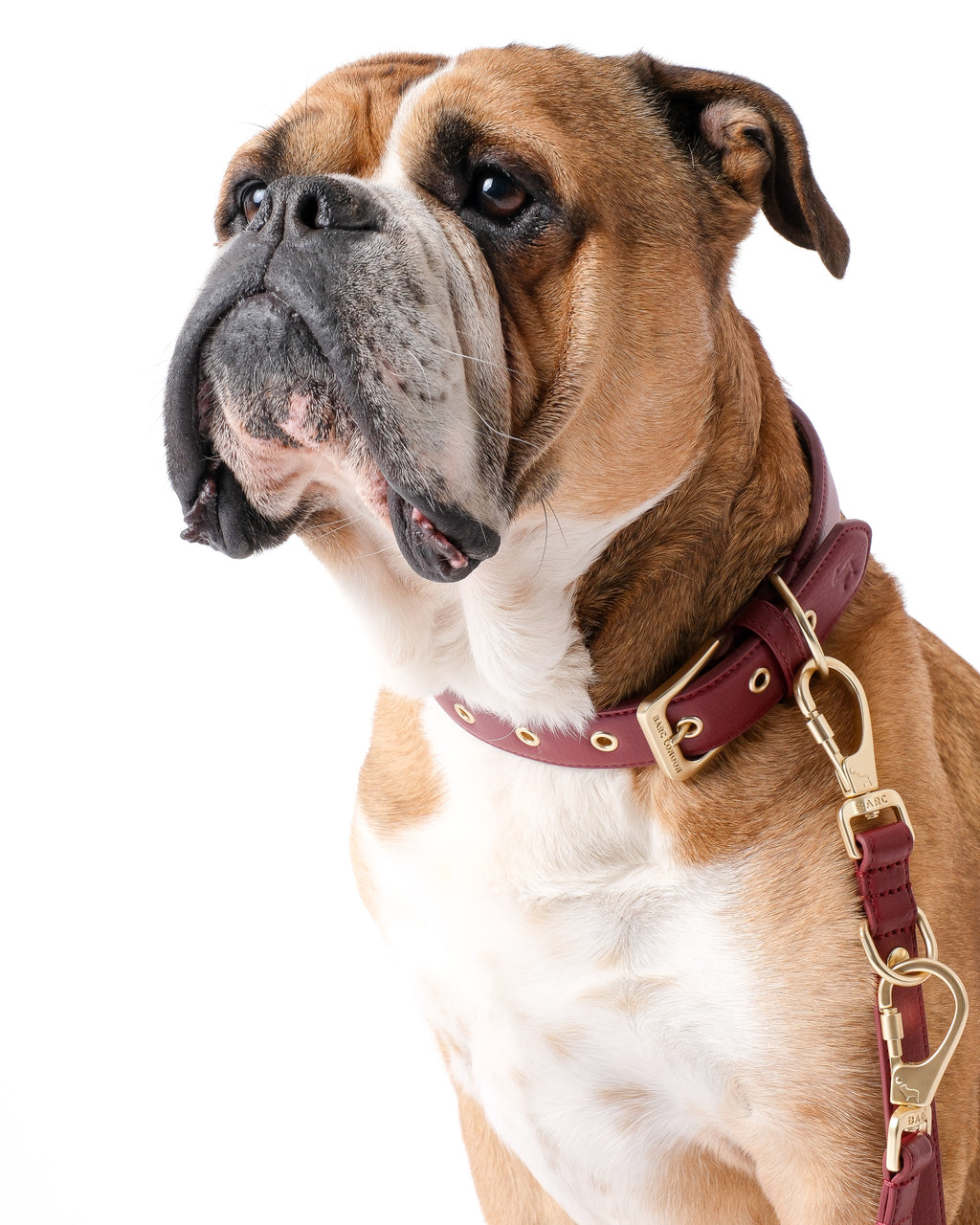 Merlot Red Double Ended Lead