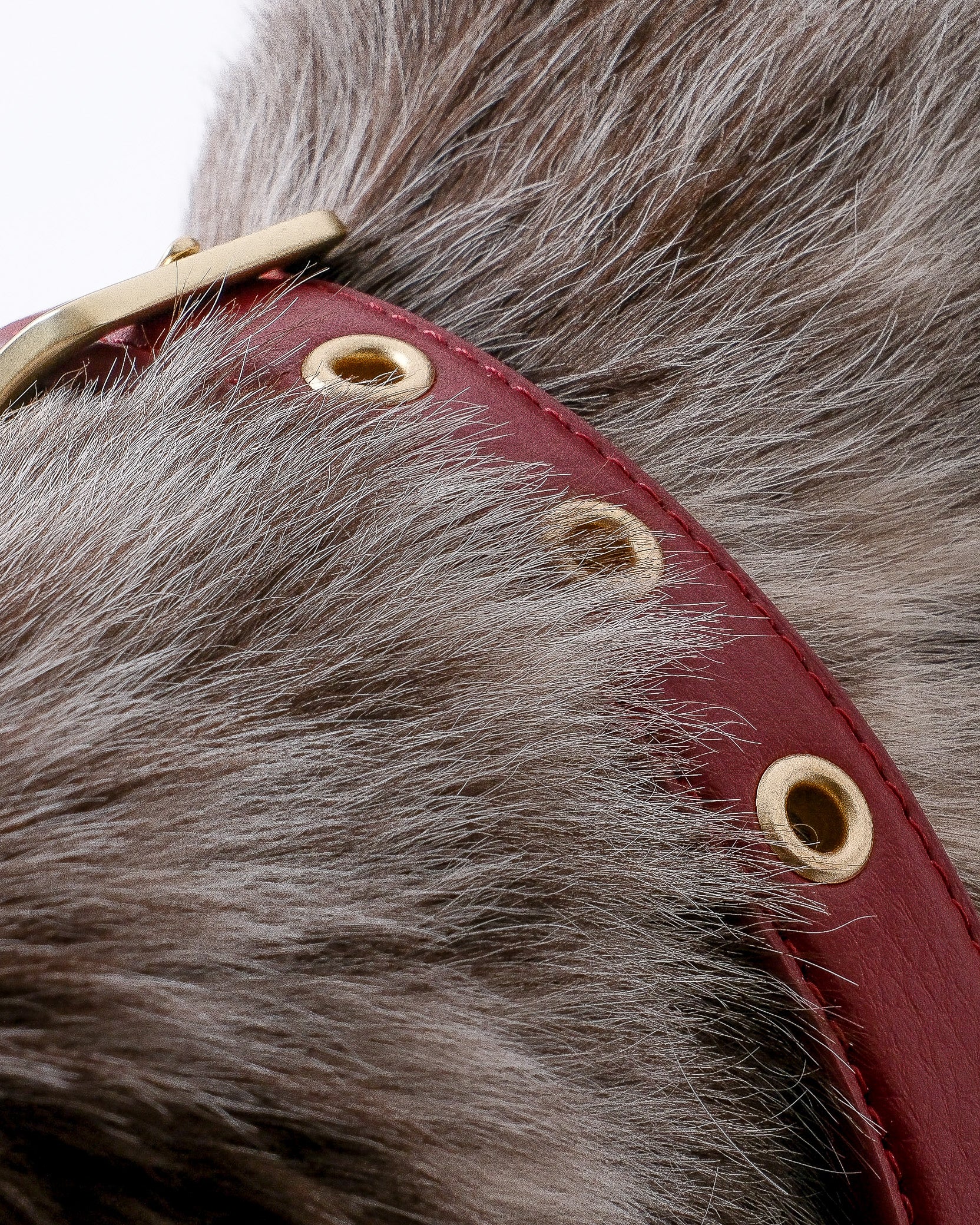 Merlot Red Dog Collar & Lead Set