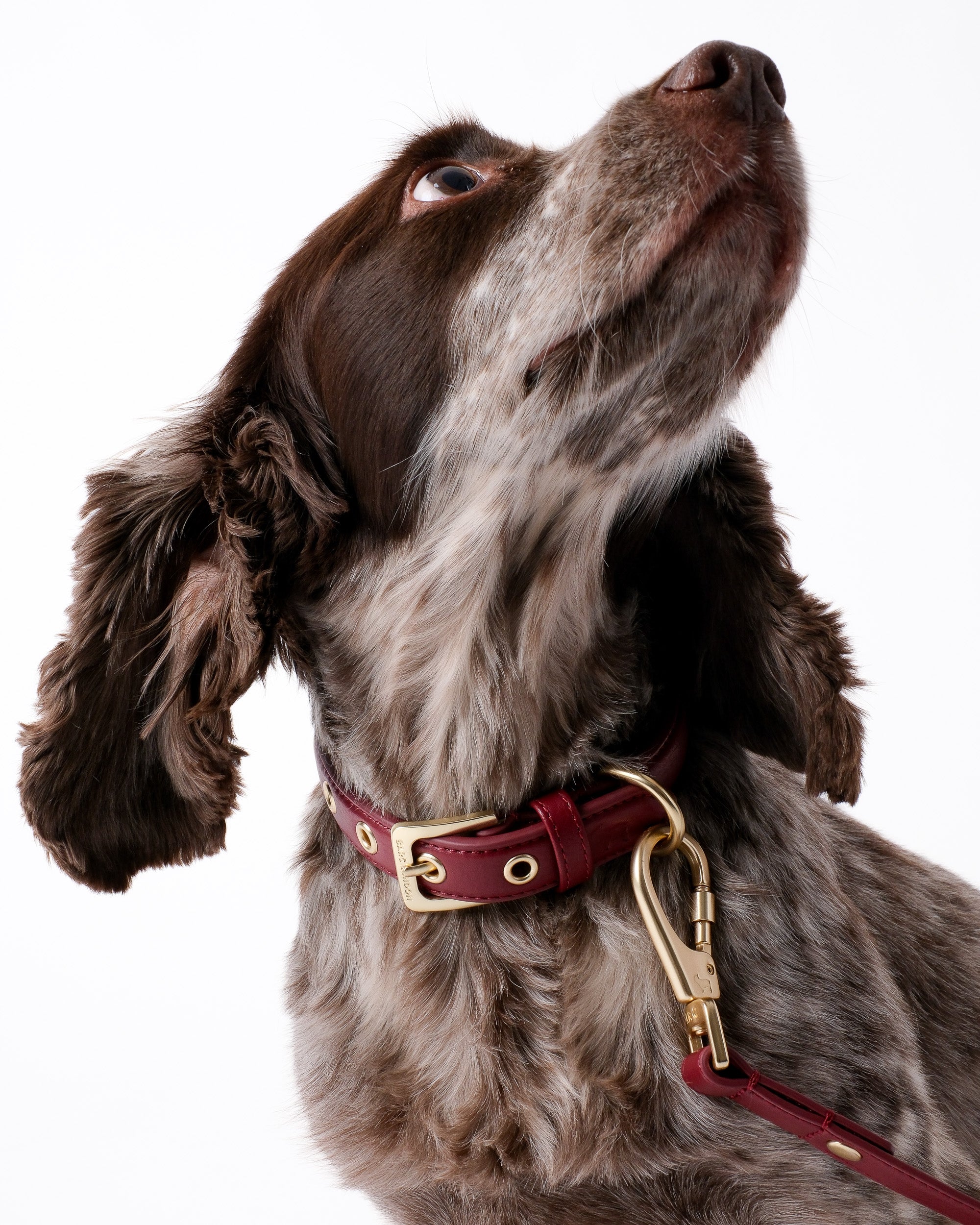 Merlot Red Dog Collar & Lead Set