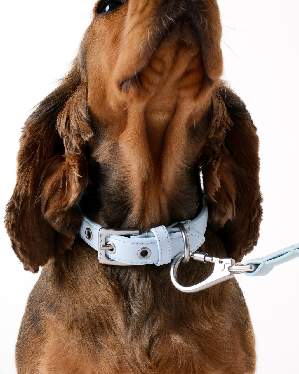 Dusk Blue Dog Collar & Lead Set