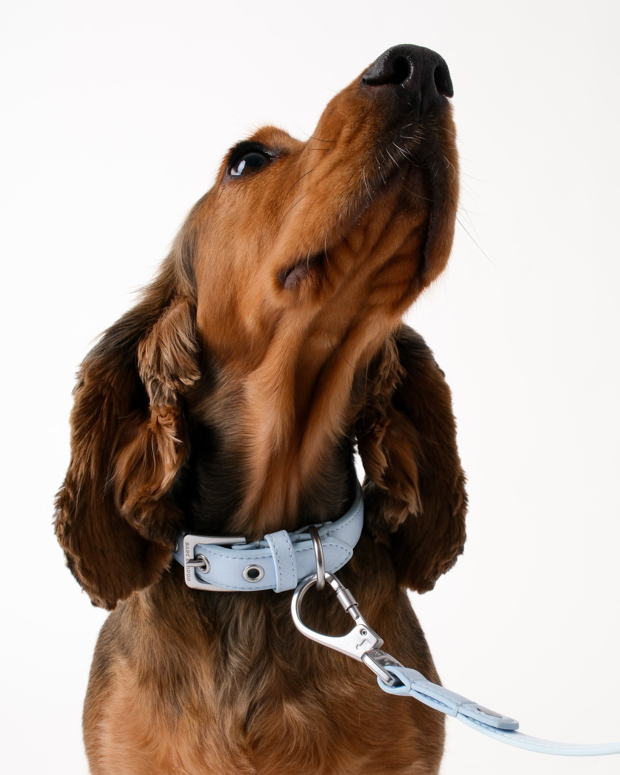 Dusk Blue City Collar