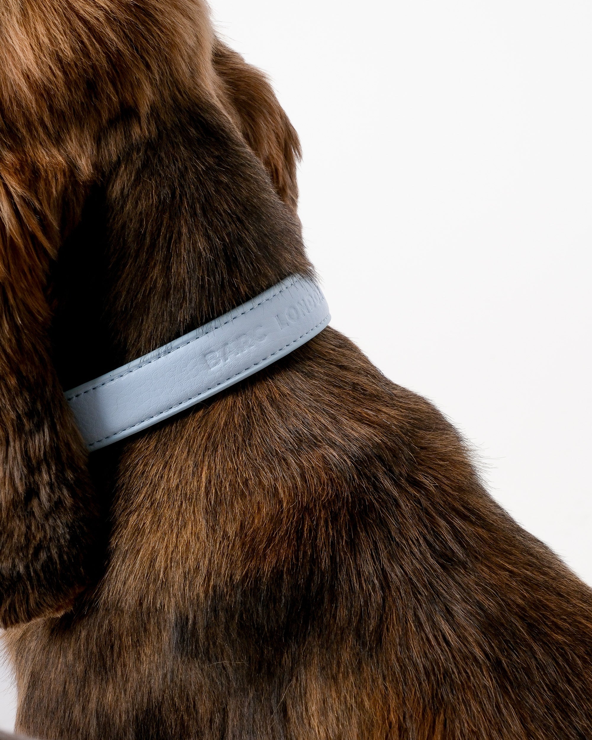 Dusk Blue City Collar