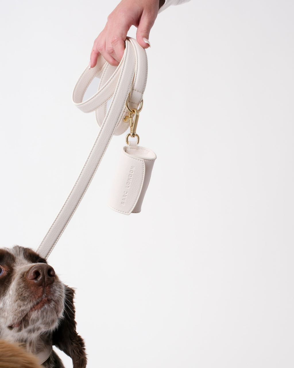 Light Ivory Dog Collar & Lead Set