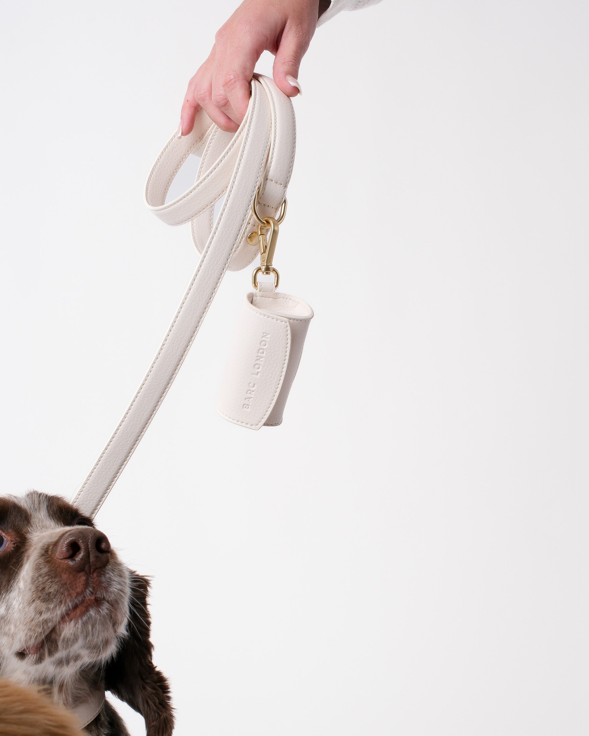 Light Ivory Dog Collar & Lead Set