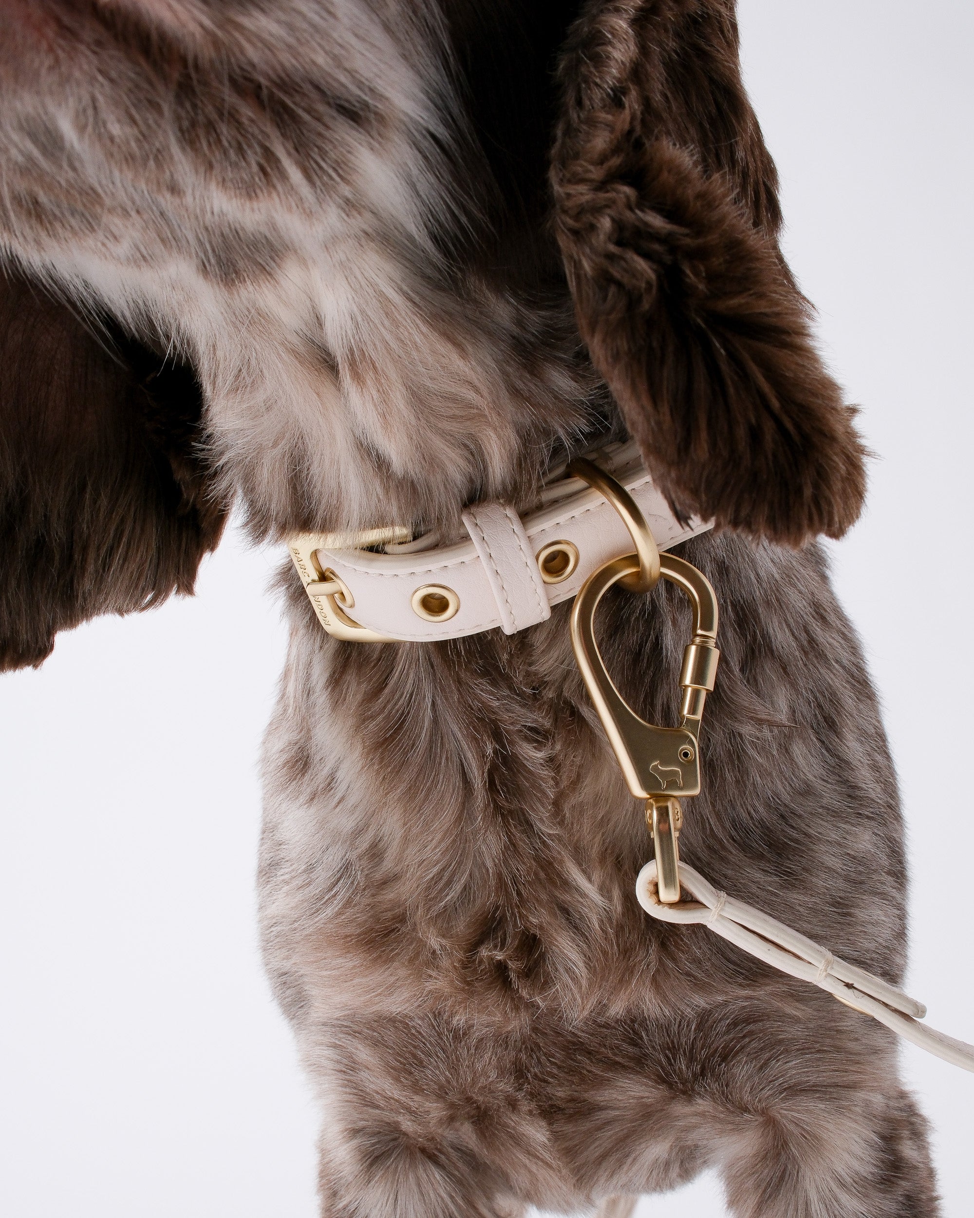 Light Ivory Dog Collar