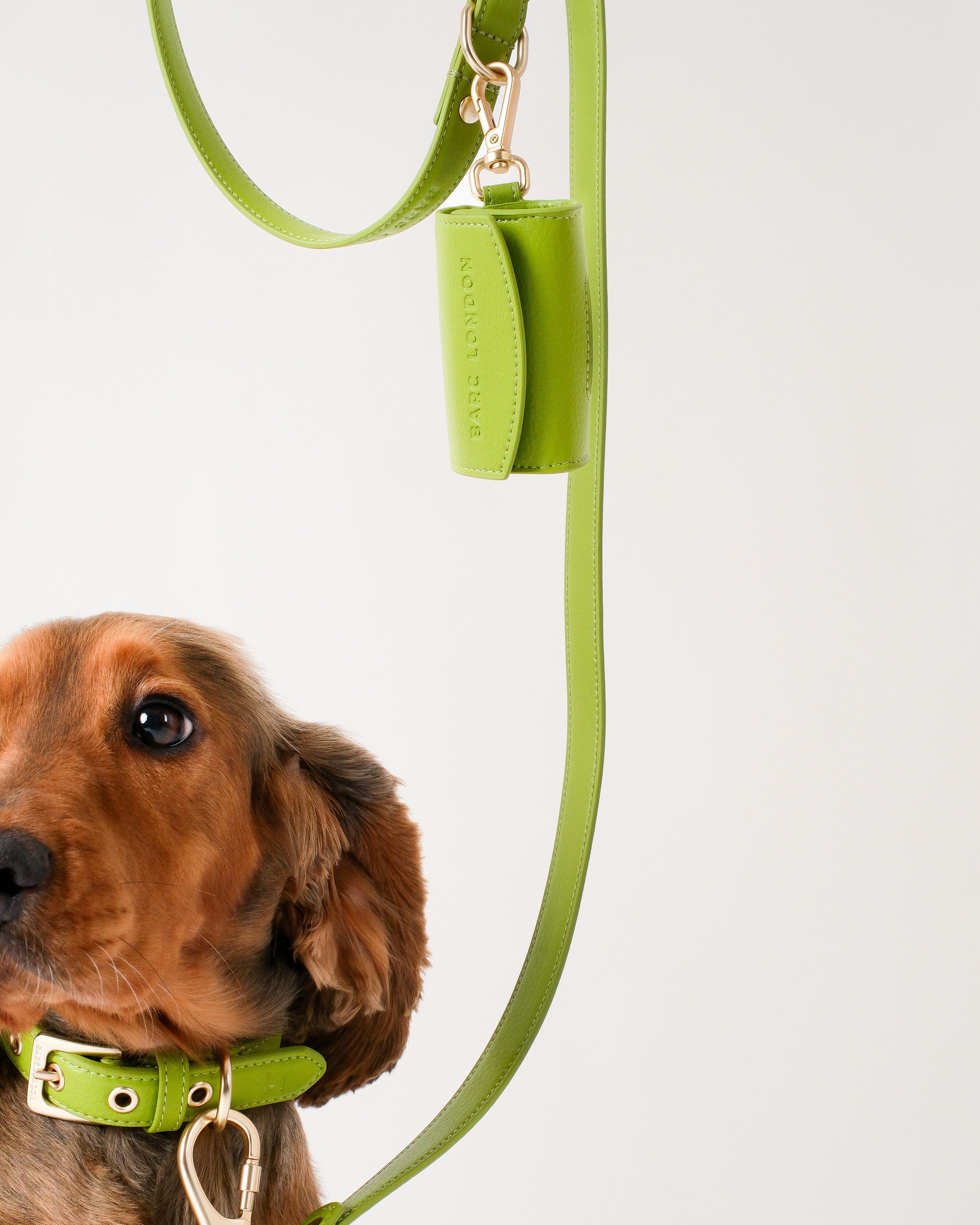 Wasabi Green Dog Collar & Lead Set