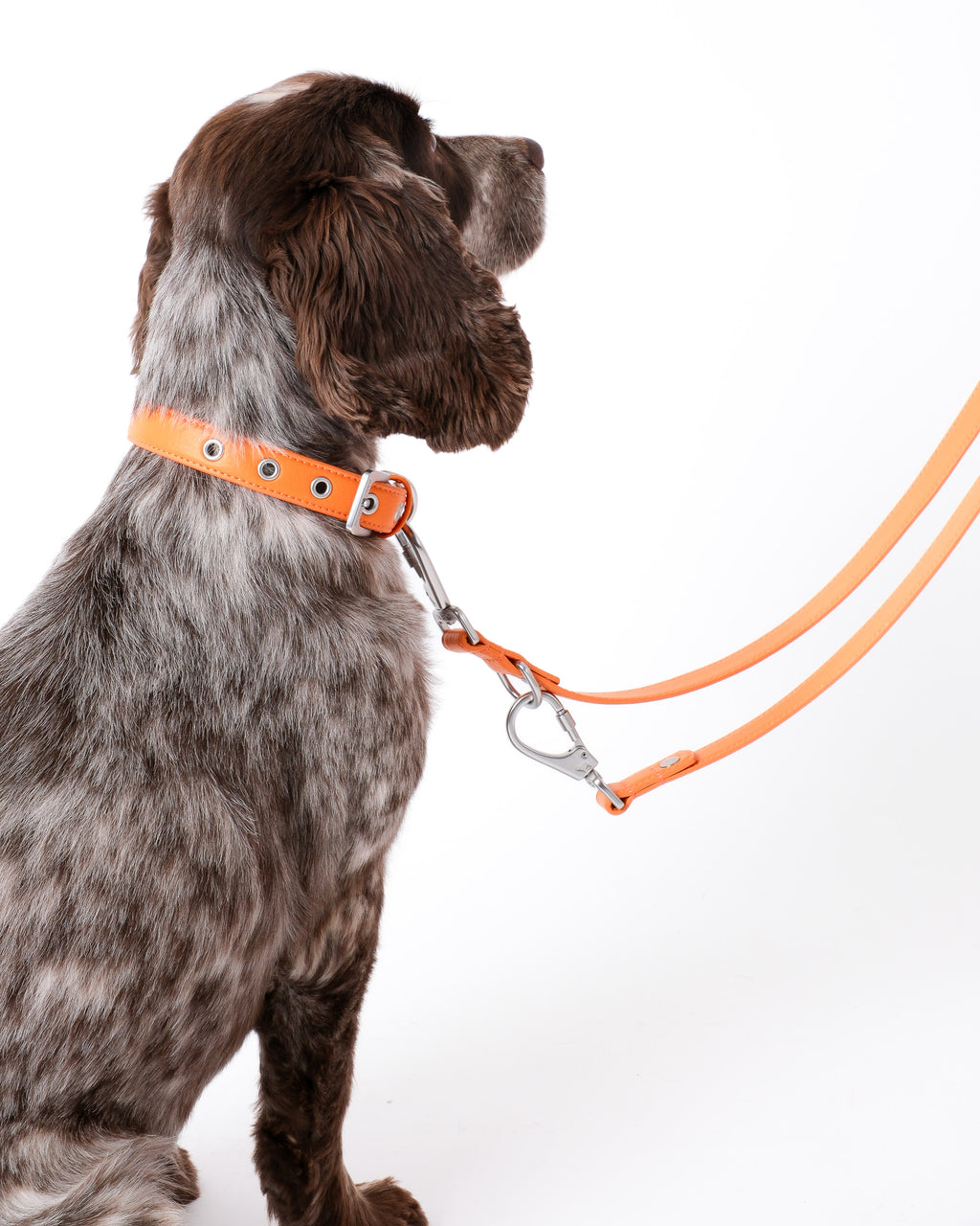 Mandarin Orange Double Ended Lead