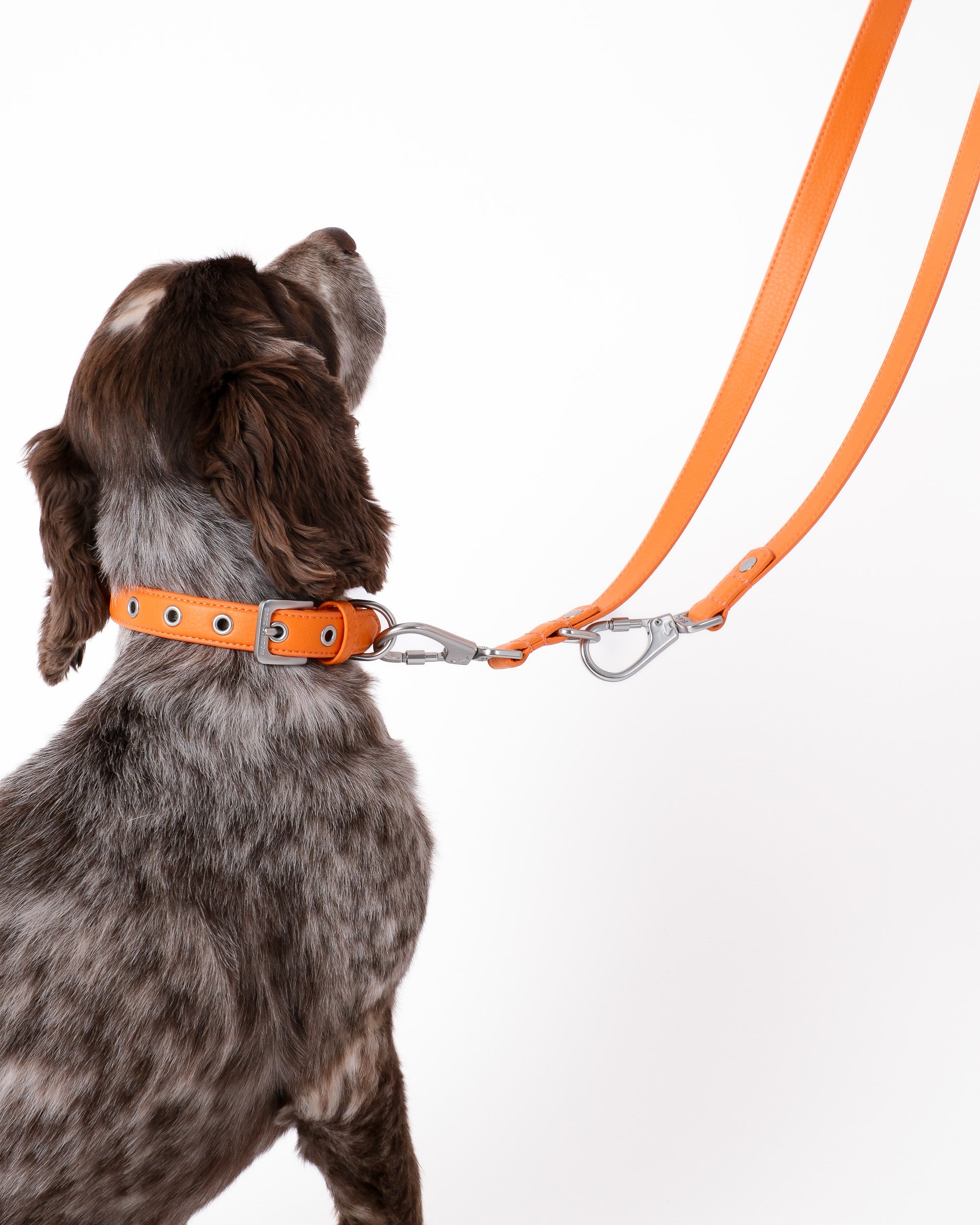 Mandarin Orange Double Ended Lead