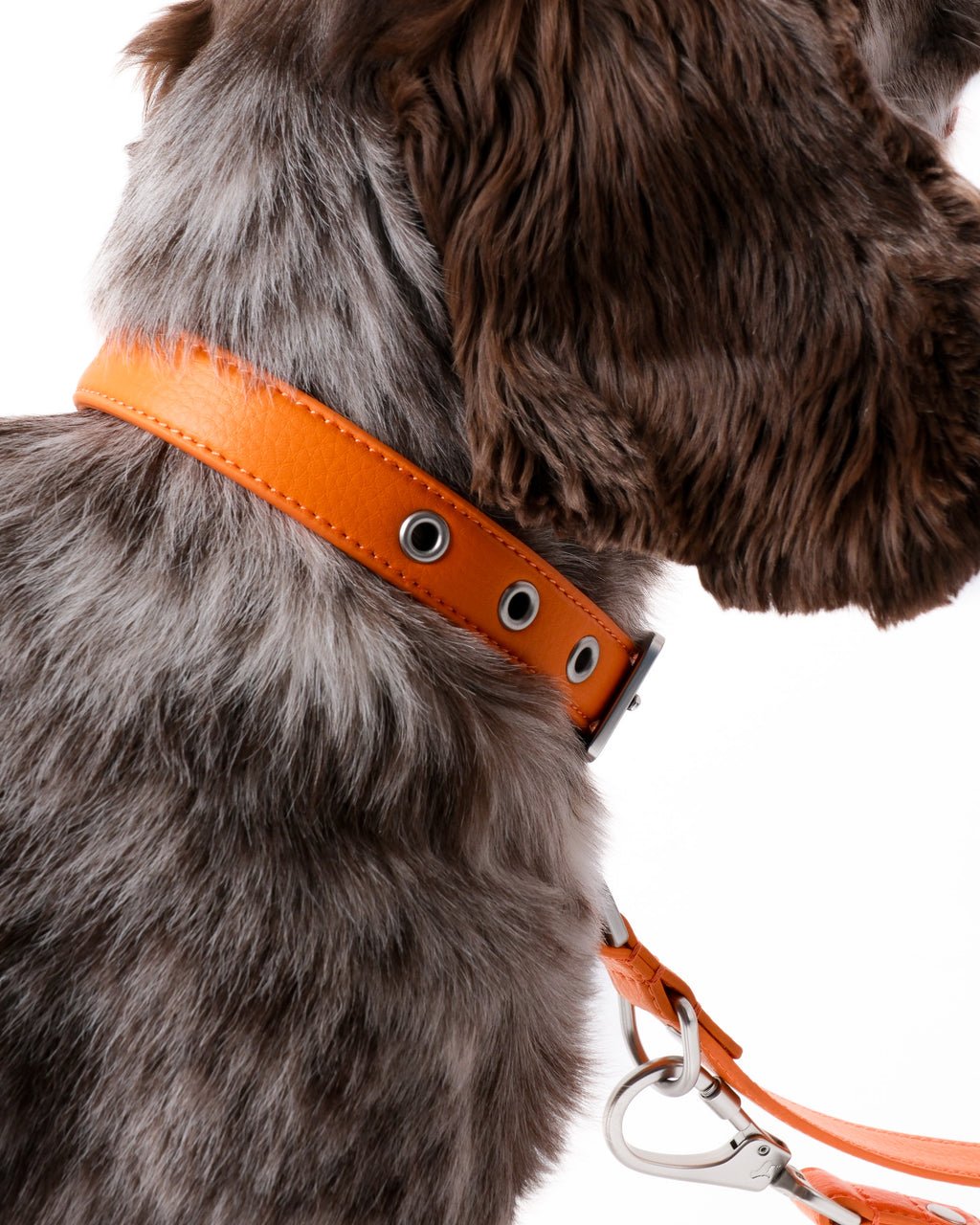 Mandarin Orange Dog Collar & Lead Set