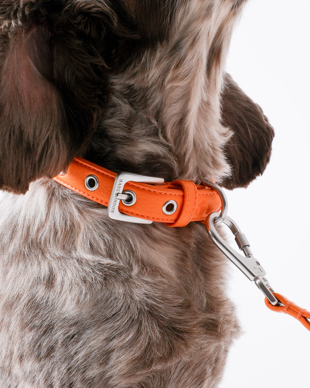 Mandarin Orange Dog Collar & Lead Set
