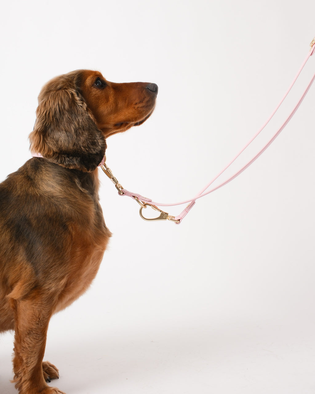 Blush Pink Double Ended Lead
