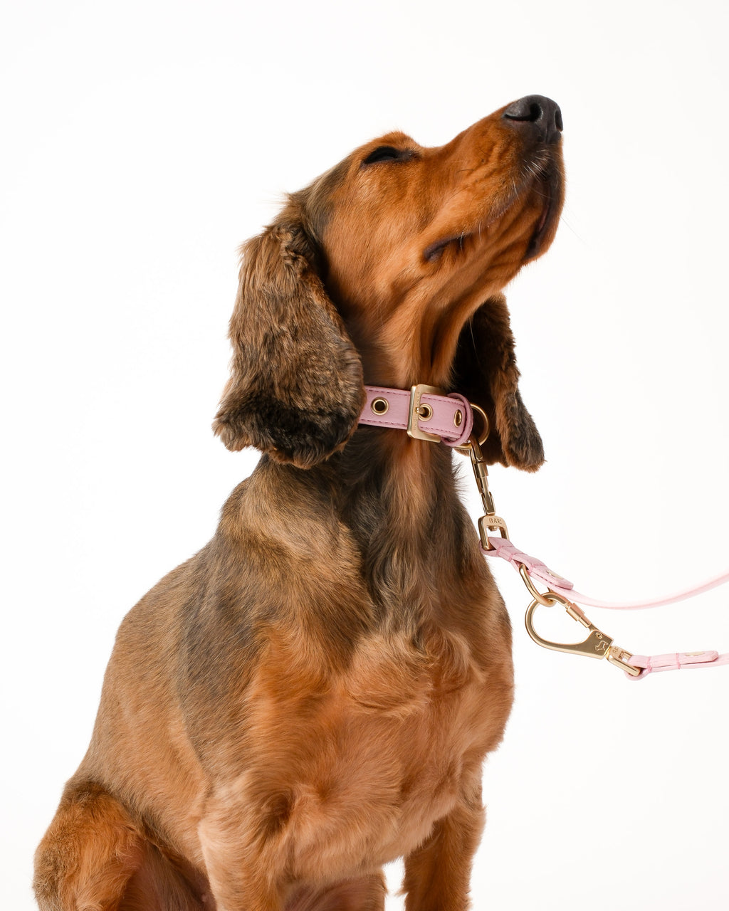 Blush Pink Double Ended Lead