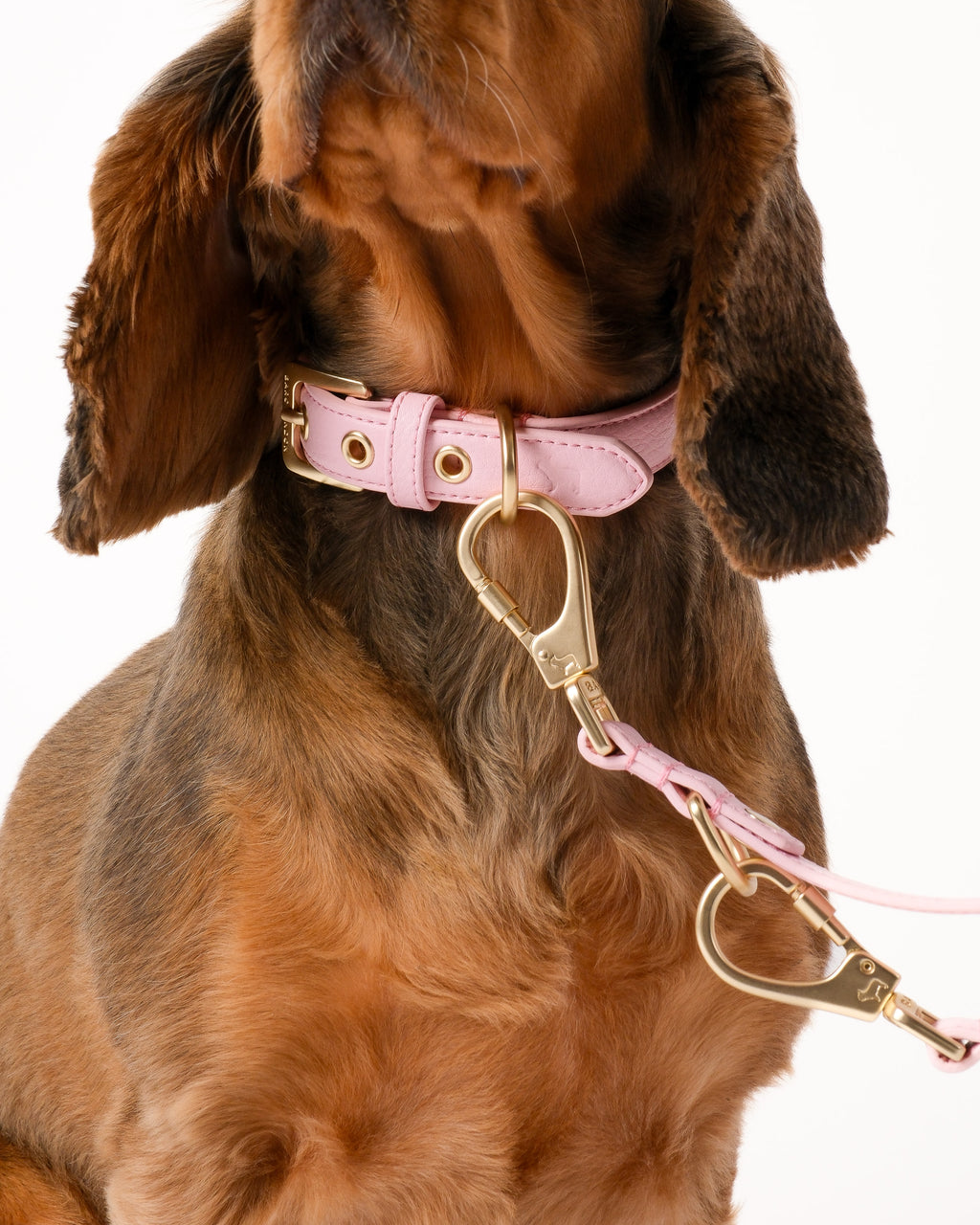 Blush Pink Double Ended Lead