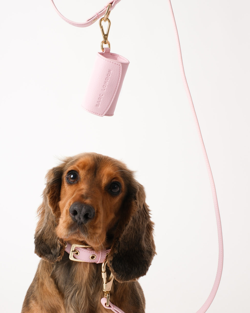 Blush Pink Waste Bag Holder