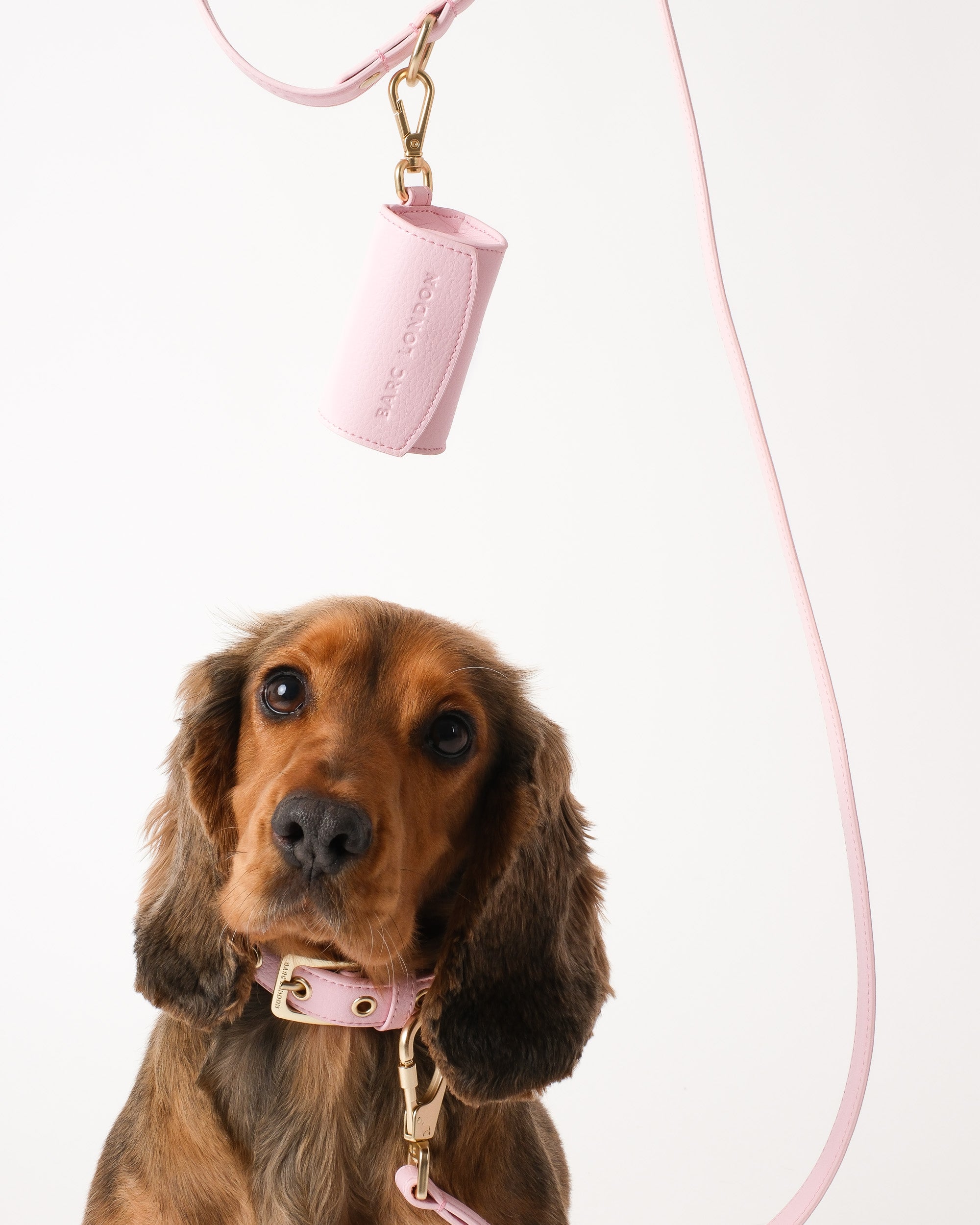 Blush Pink Waste Bag Holder