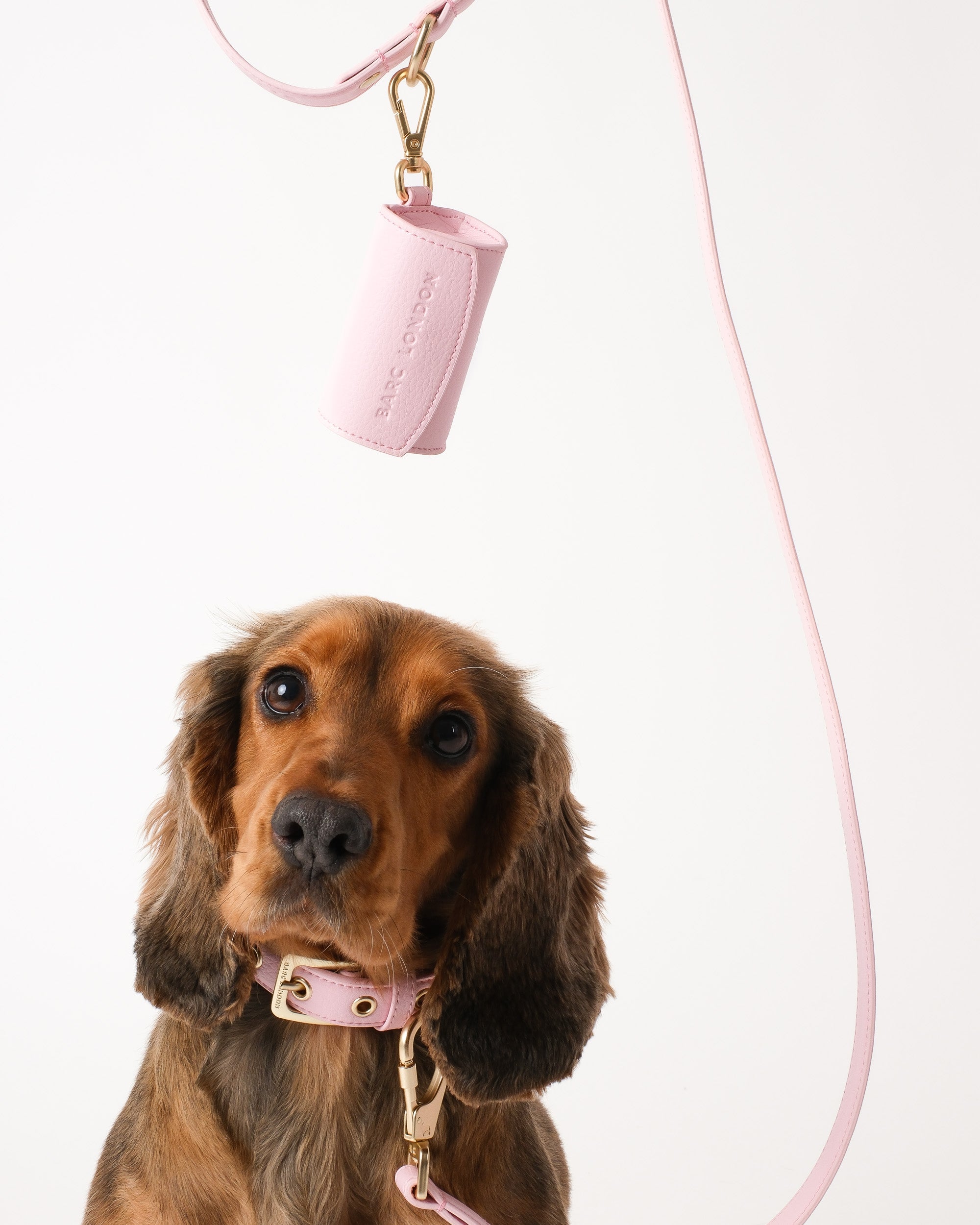 Blush Pink Dog Collar