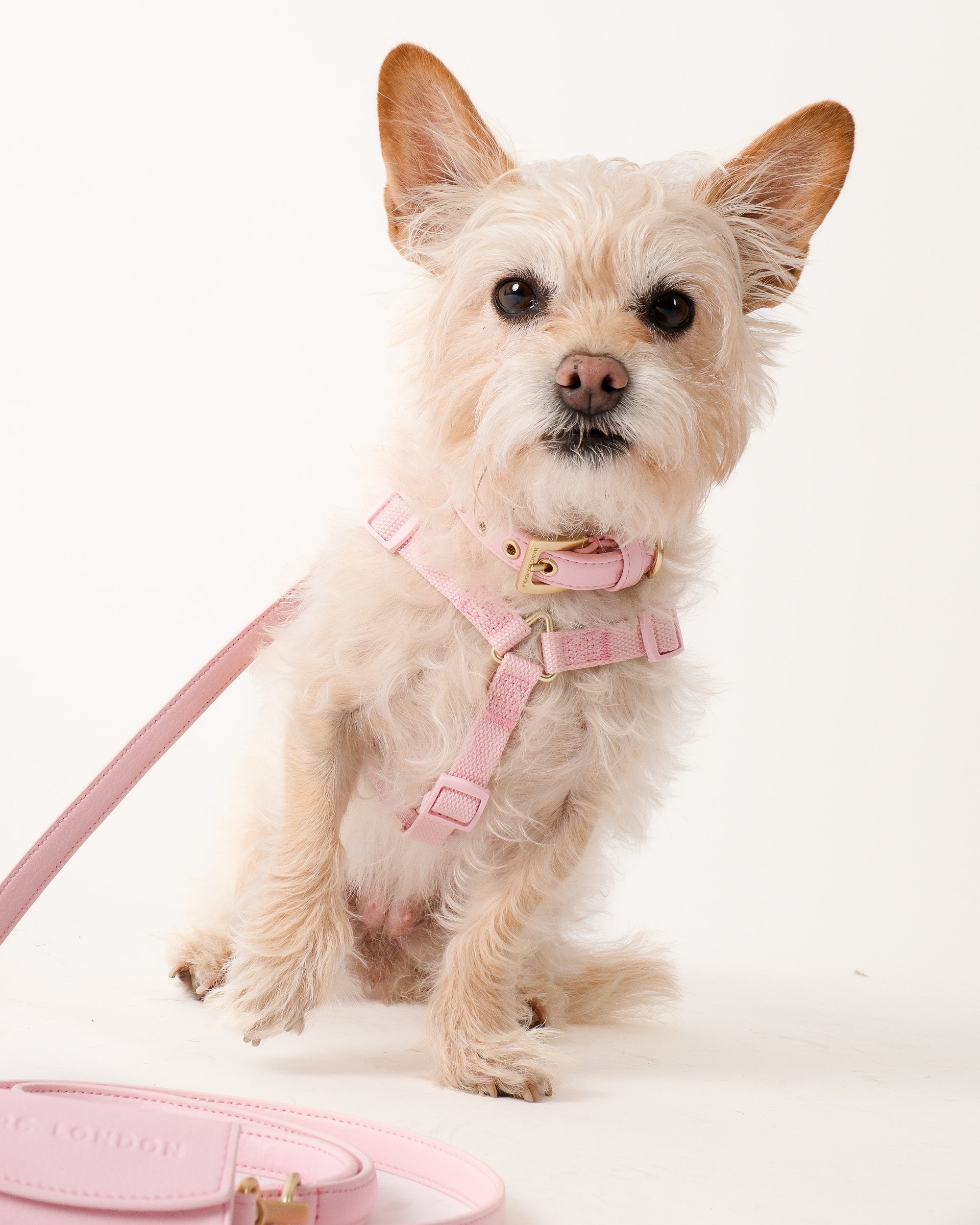 Blush Pink Dog Harness