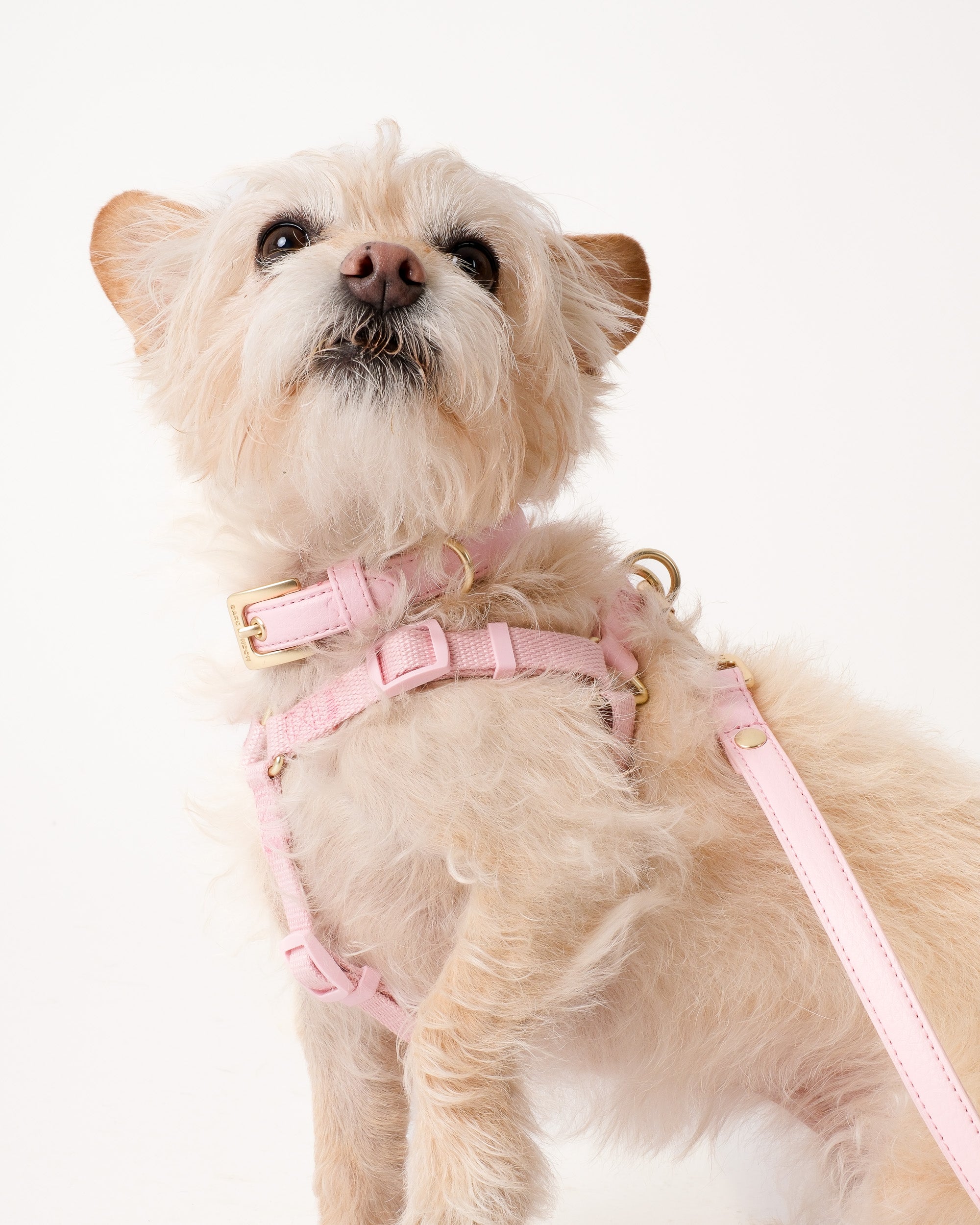 Blush Pink Dog Collar, Harness & Lead Set