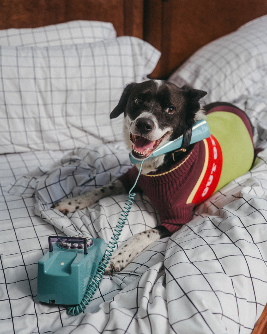 Out Of Office Knitted Dog Jumper