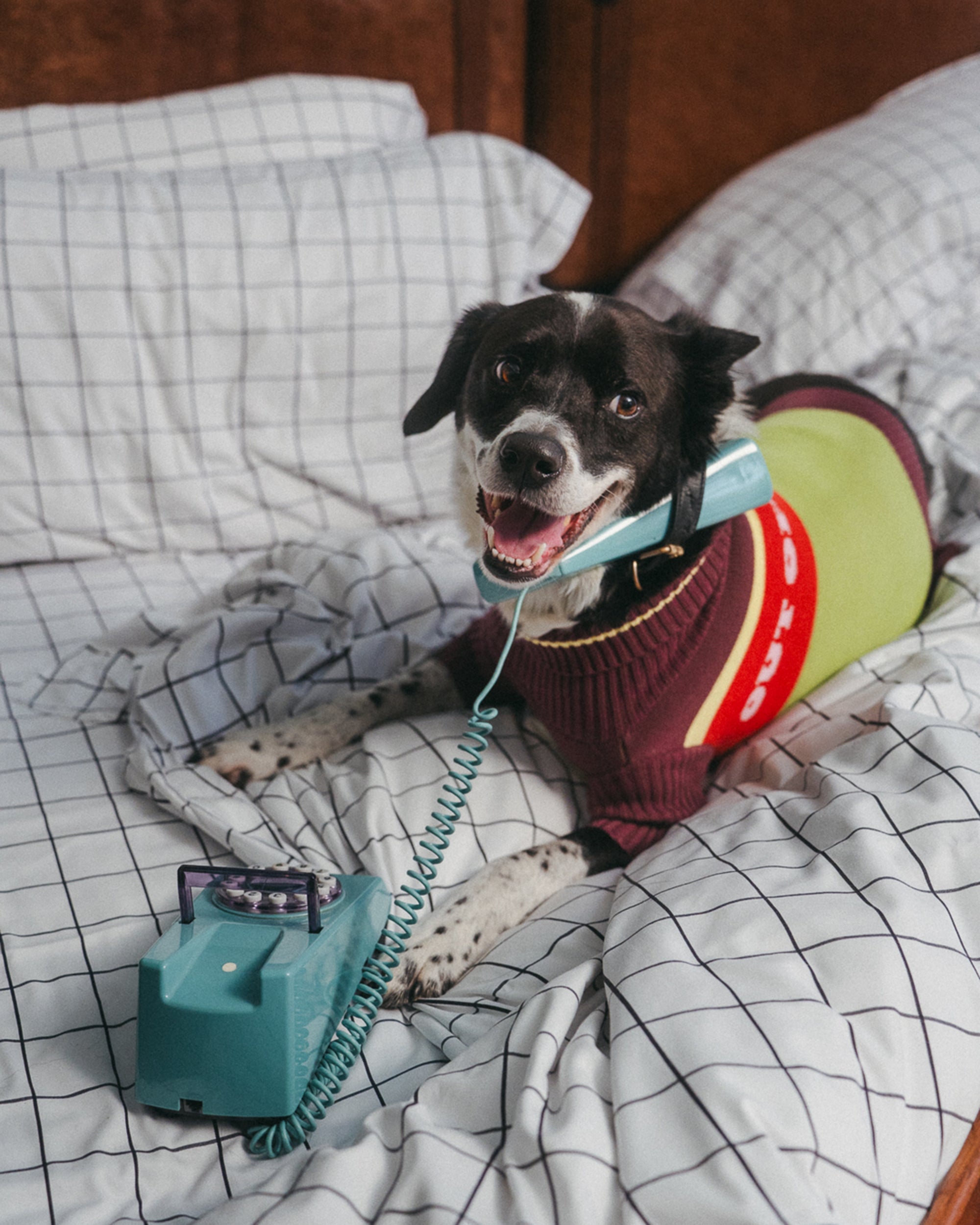Out Of Office Knitted Dog Jumper
