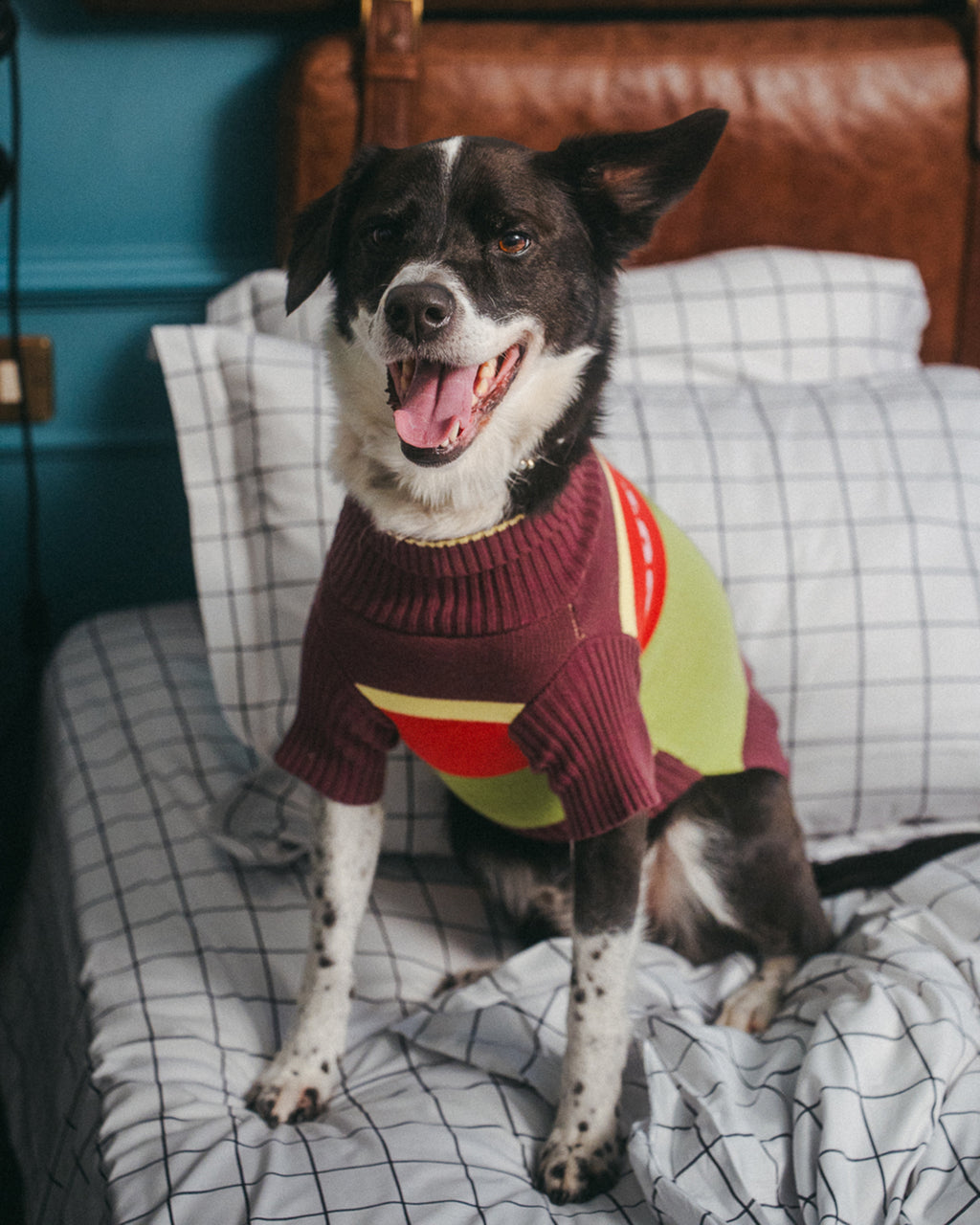 Out Of Office Knitted Dog Jumper