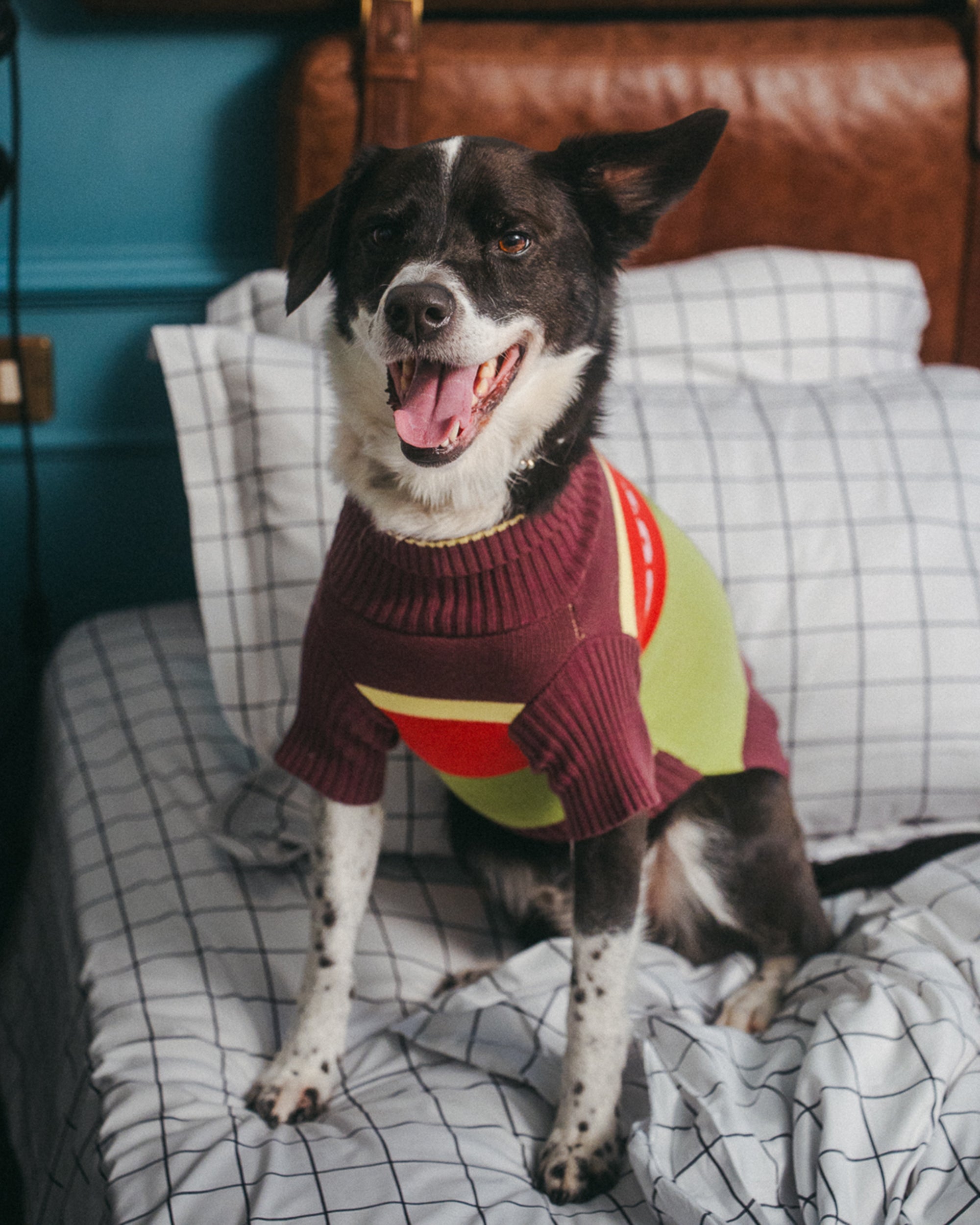 Out Of Office Knitted Dog Jumper