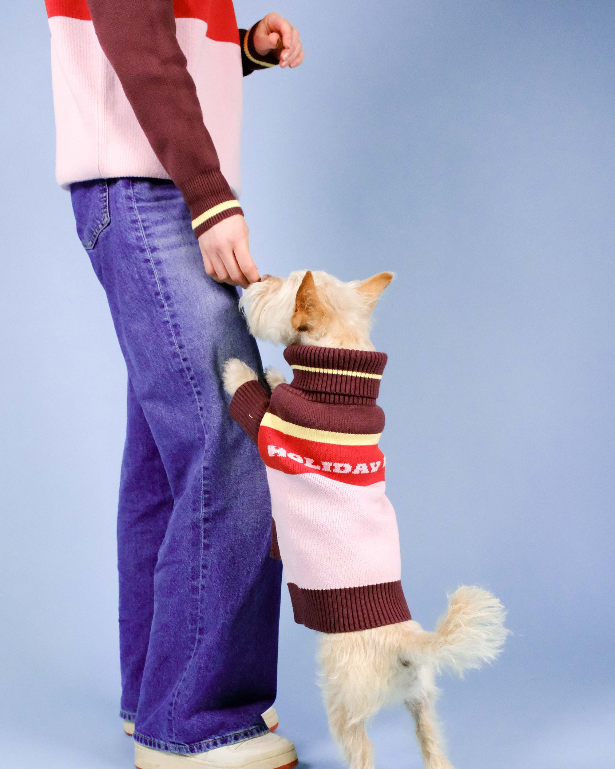 Holiday Club Knitted Dog Jumper, Pink