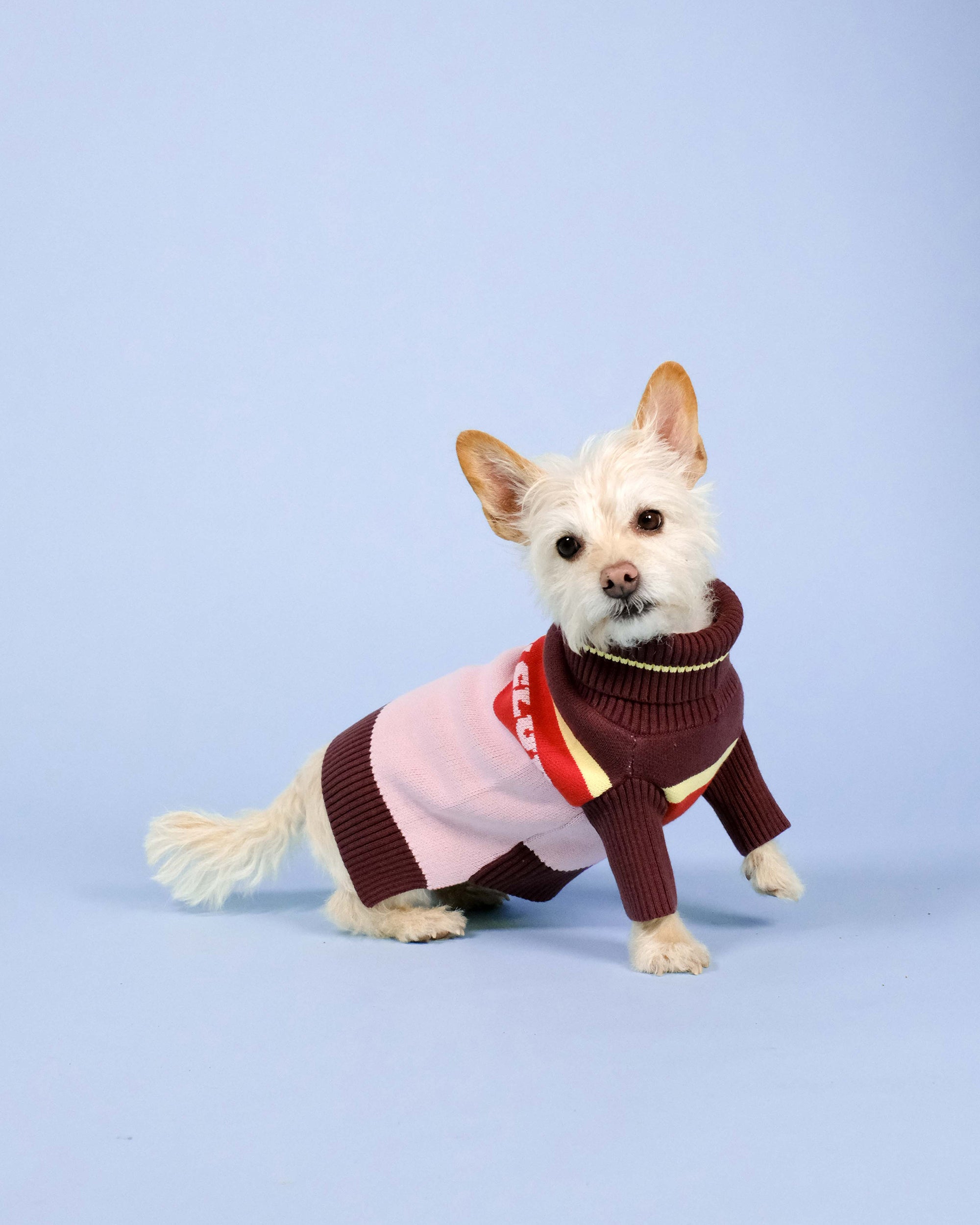 Holiday Club Knitted Dog Jumper, Pink