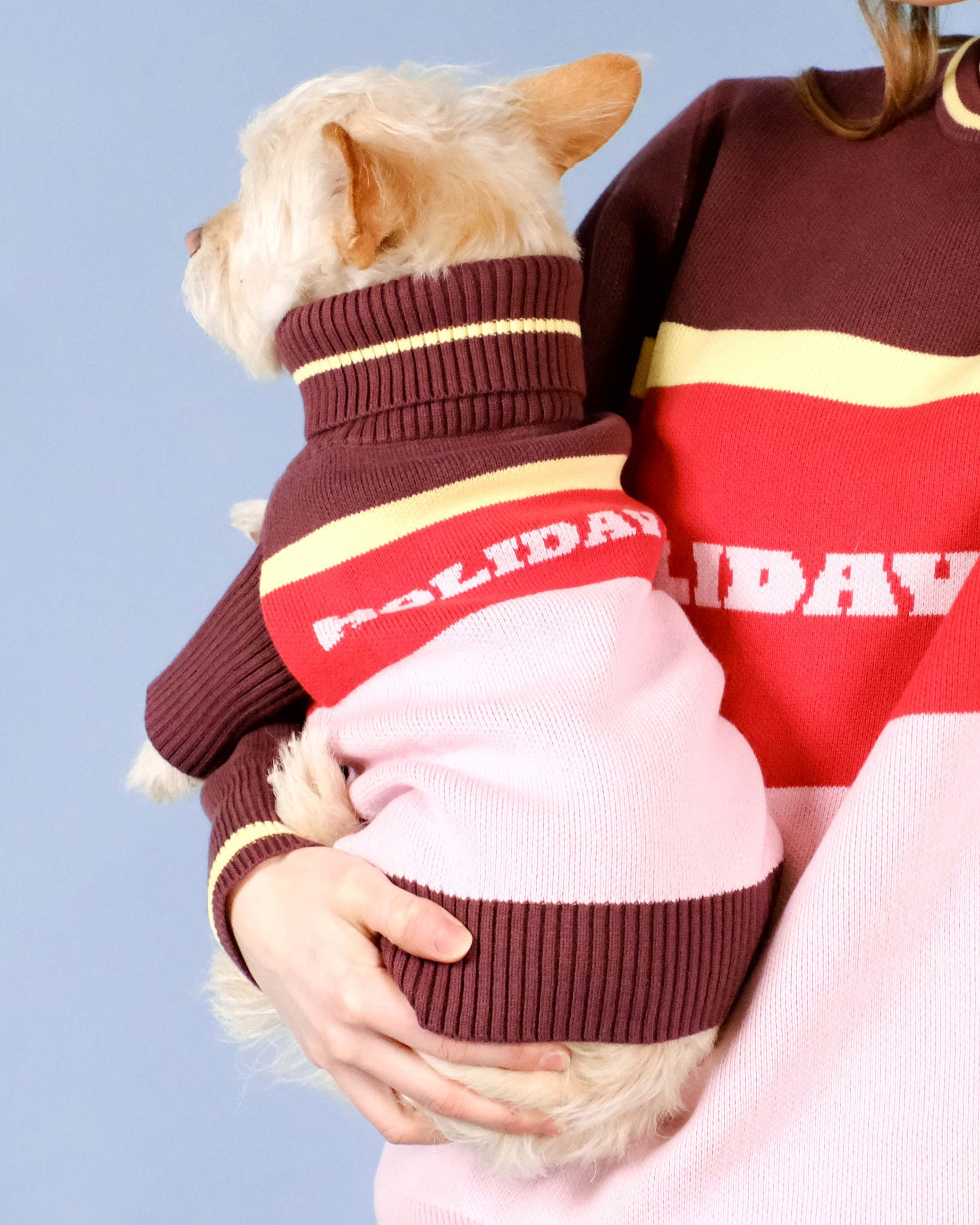 Holiday Club Knitted Dog Jumper, Pink