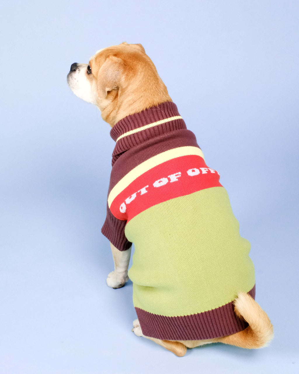 Out Of Office Knitted Dog Jumper