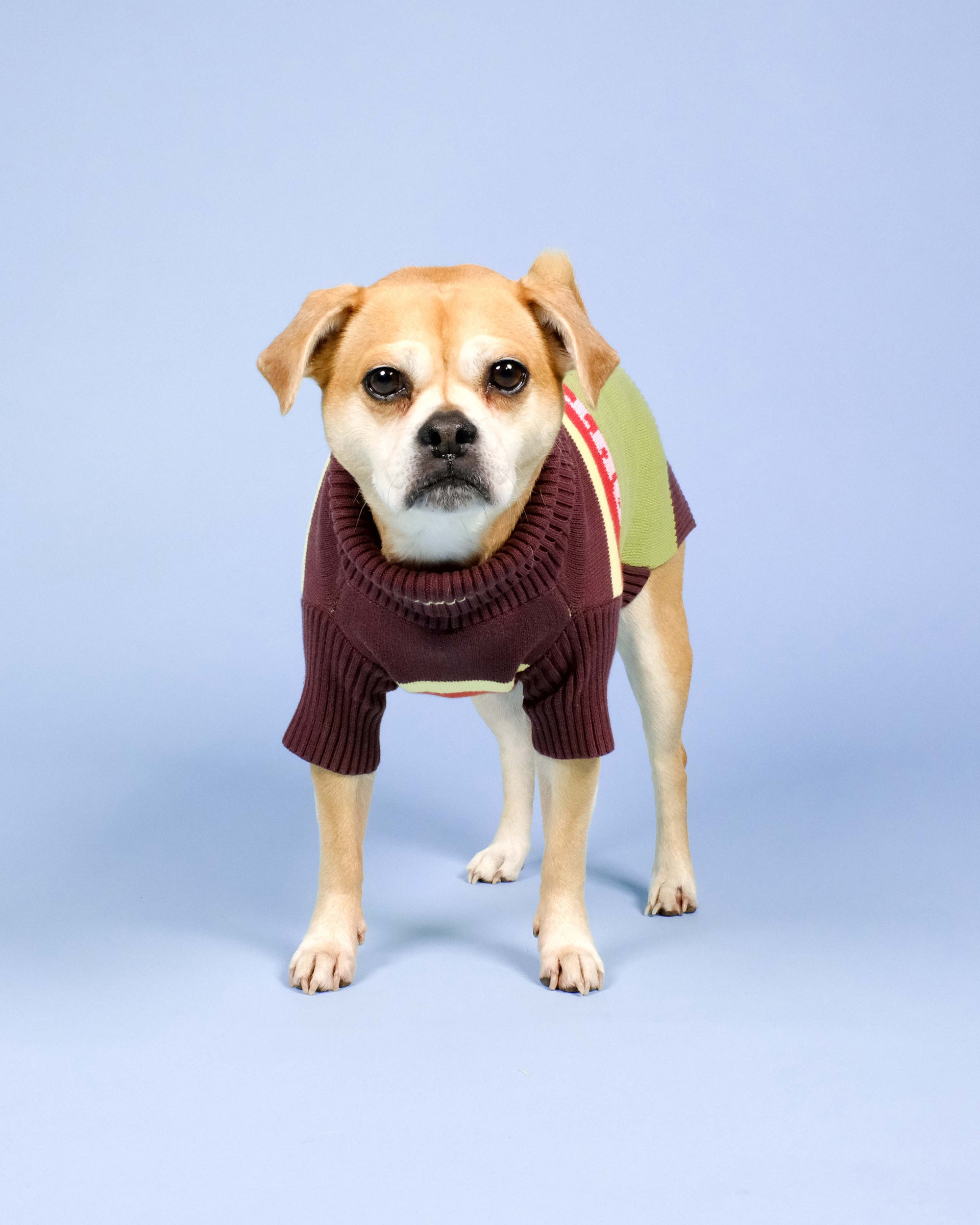 Out Of Office Knitted Dog Jumper