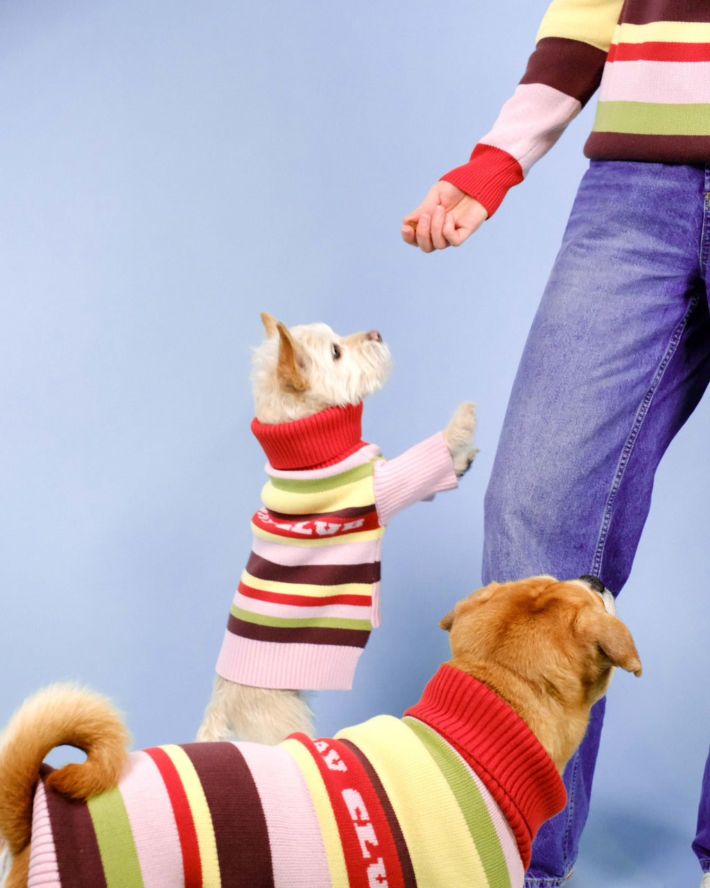 Holiday Club Knitted Jumper, Stripes