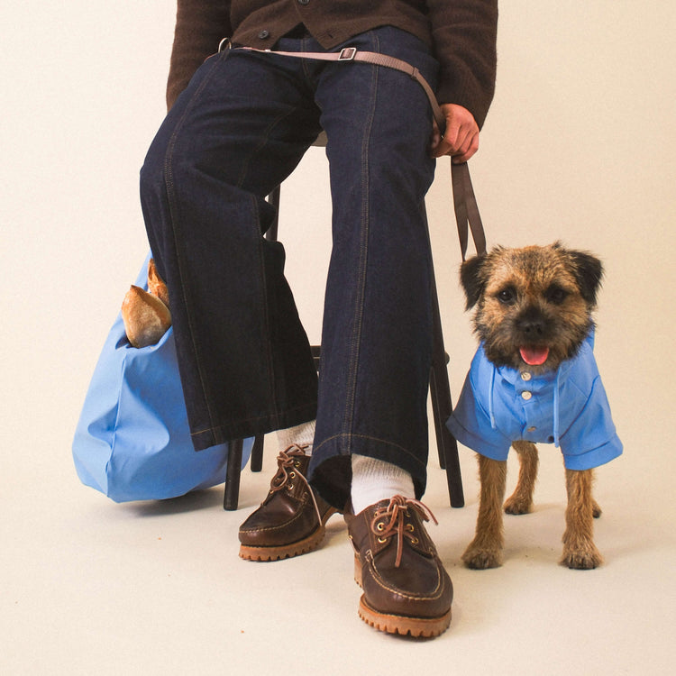 Blue Dog Raincoat