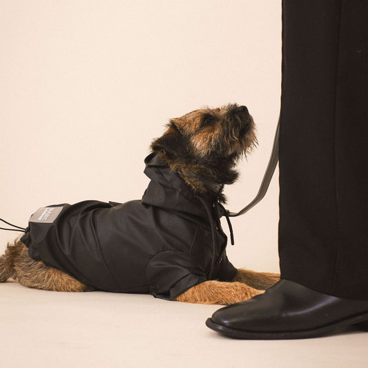 Black Dog Raincoat