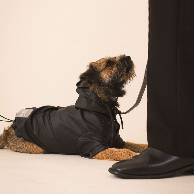 Black Dog Raincoat