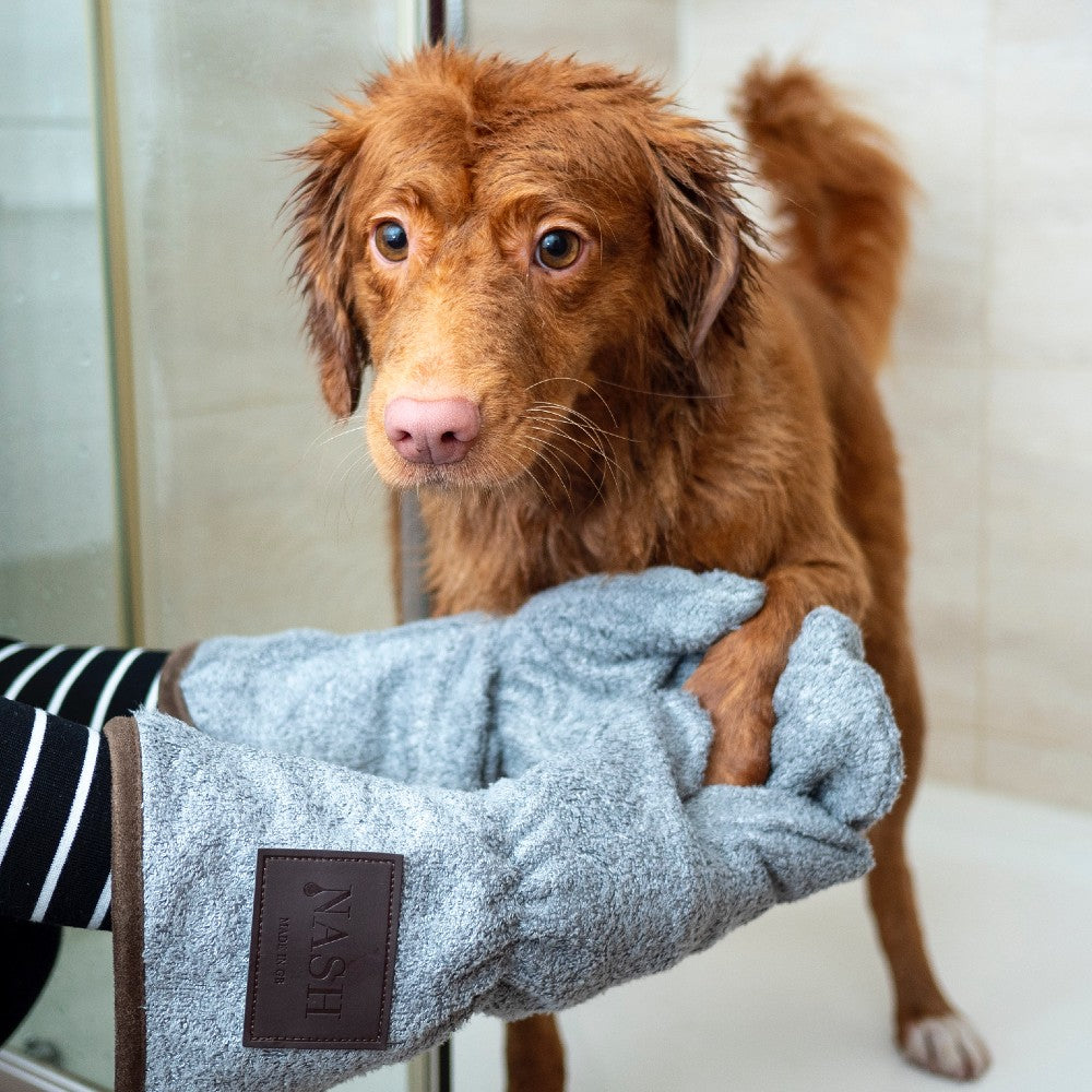 A FREE Guide to Dog Grooming for Beginners Barc London