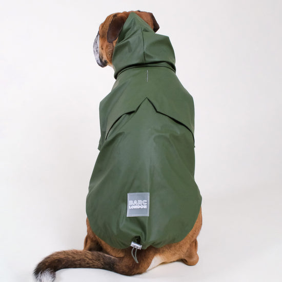 barc london dog raincoat, worn by a boxer in the colour green